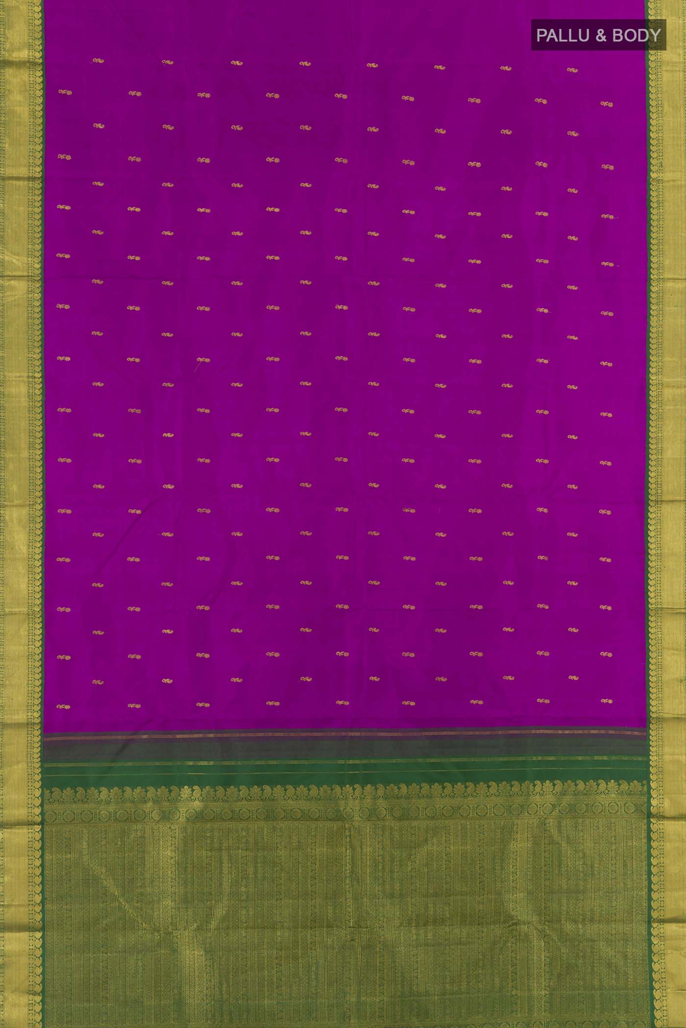 pallu body