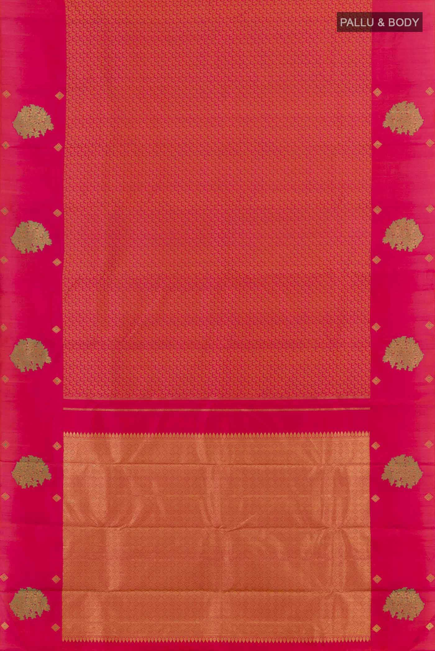 pallu body