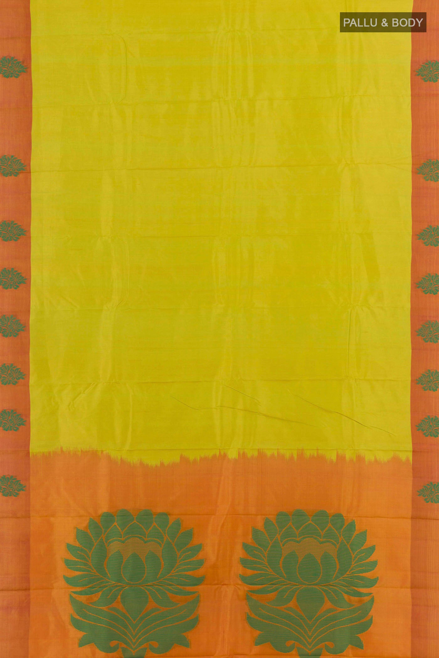 pallu body