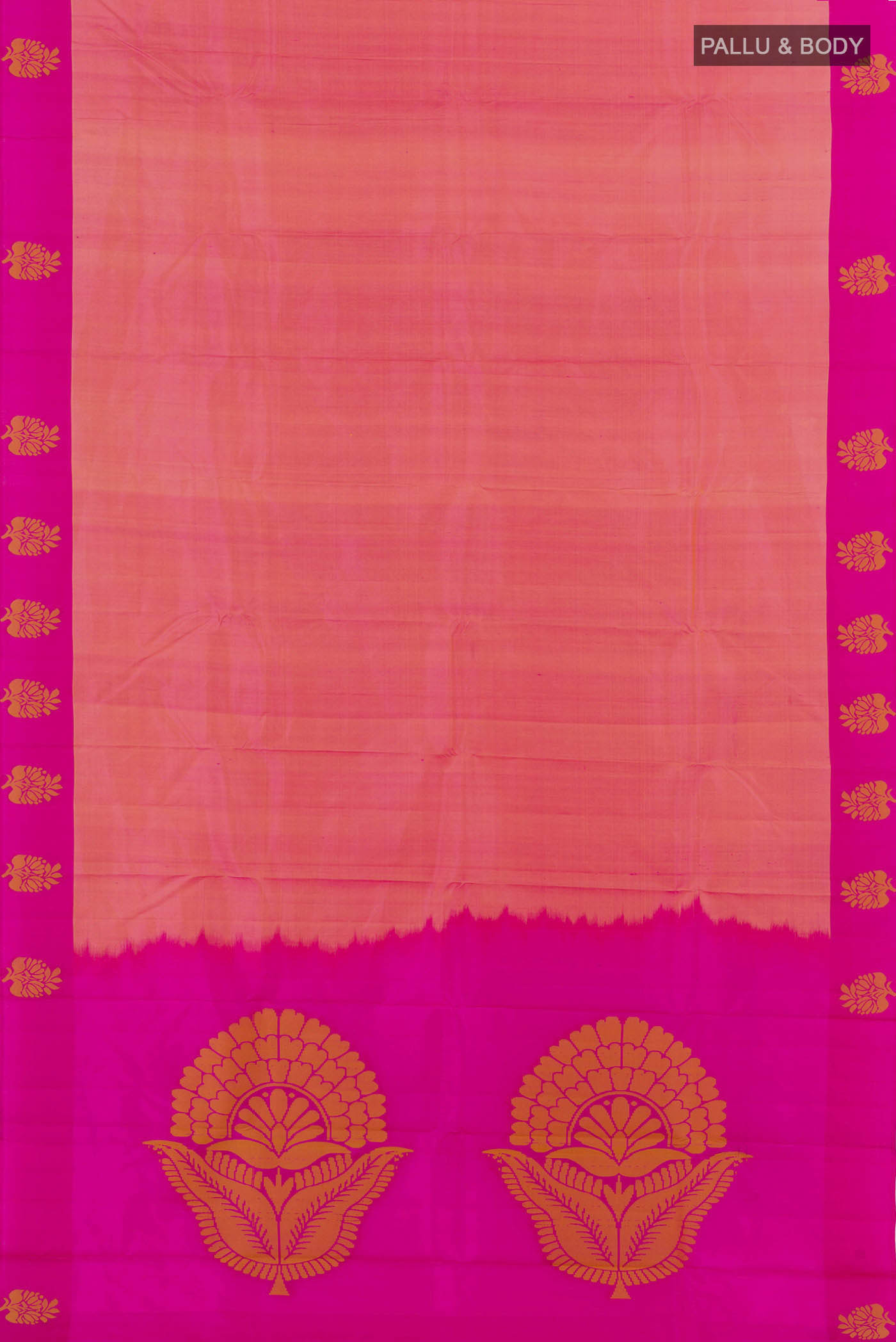 pallu body