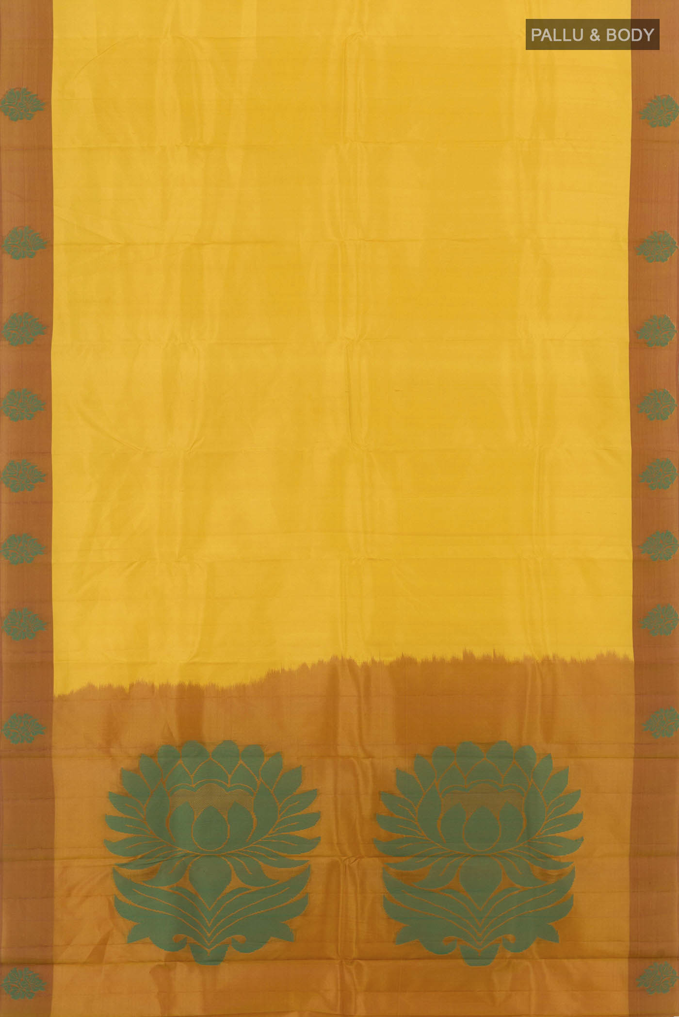 pallu body