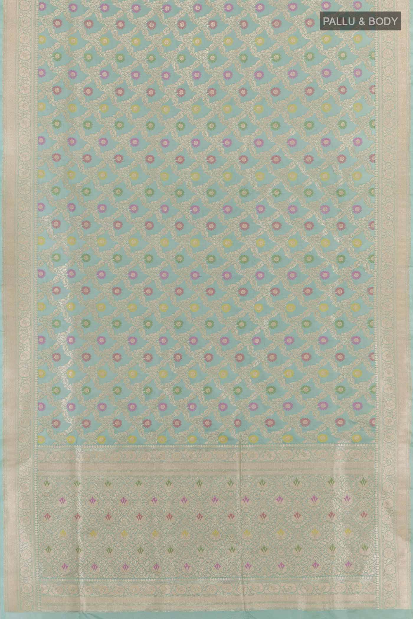 pallu body