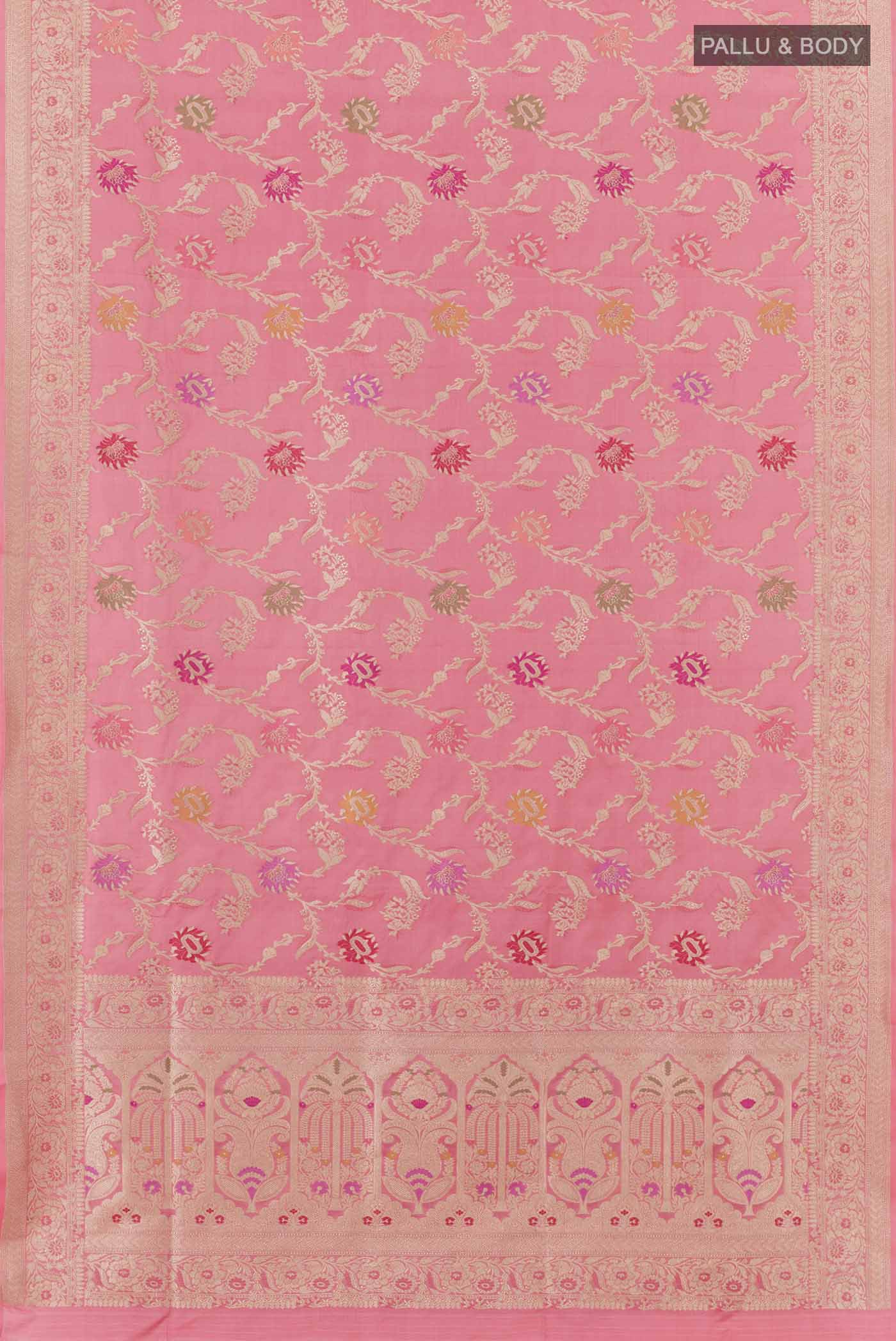 pallu body
