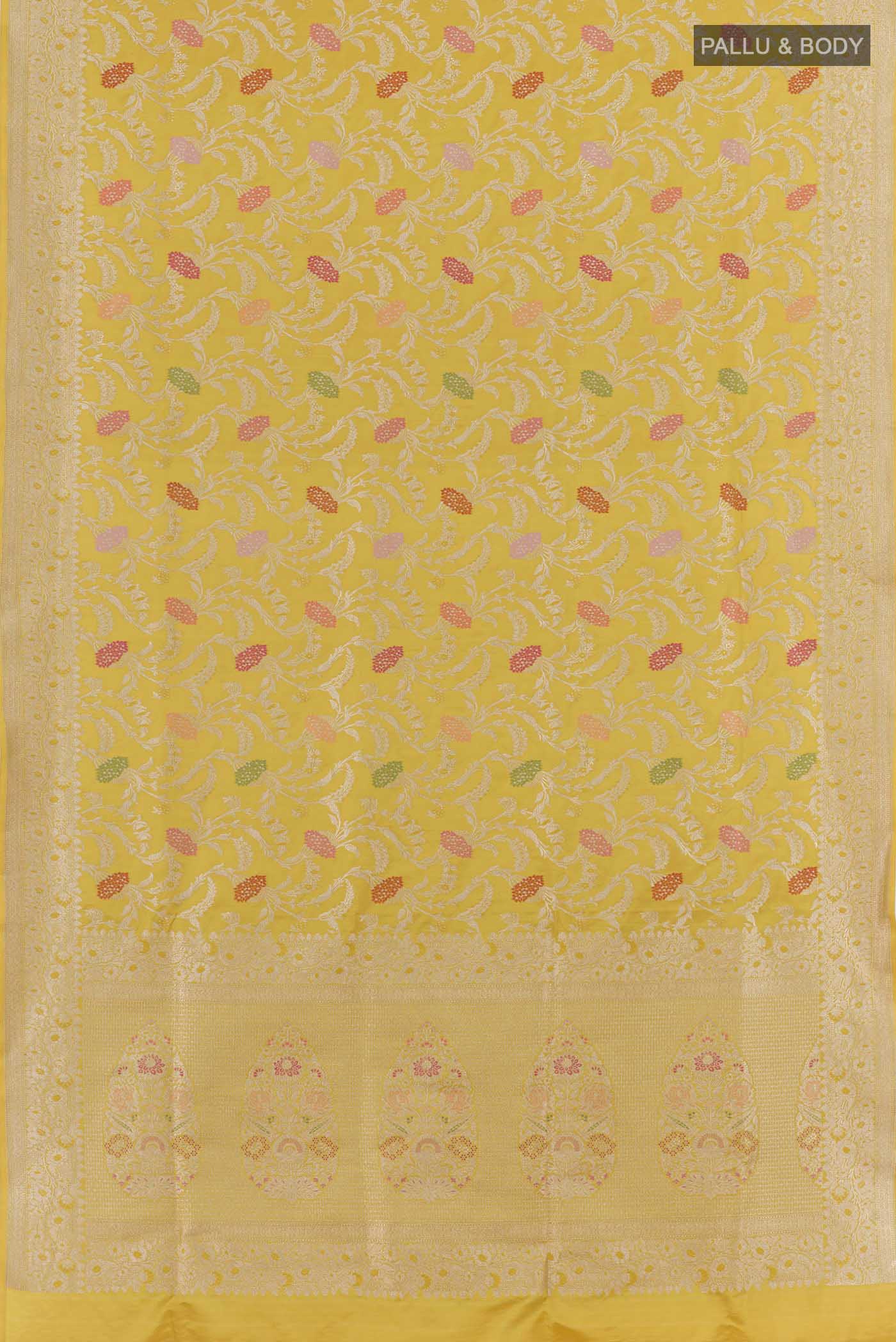 pallu body