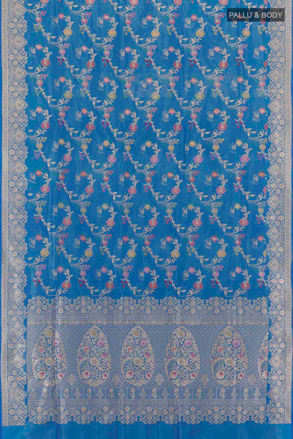 pallu body