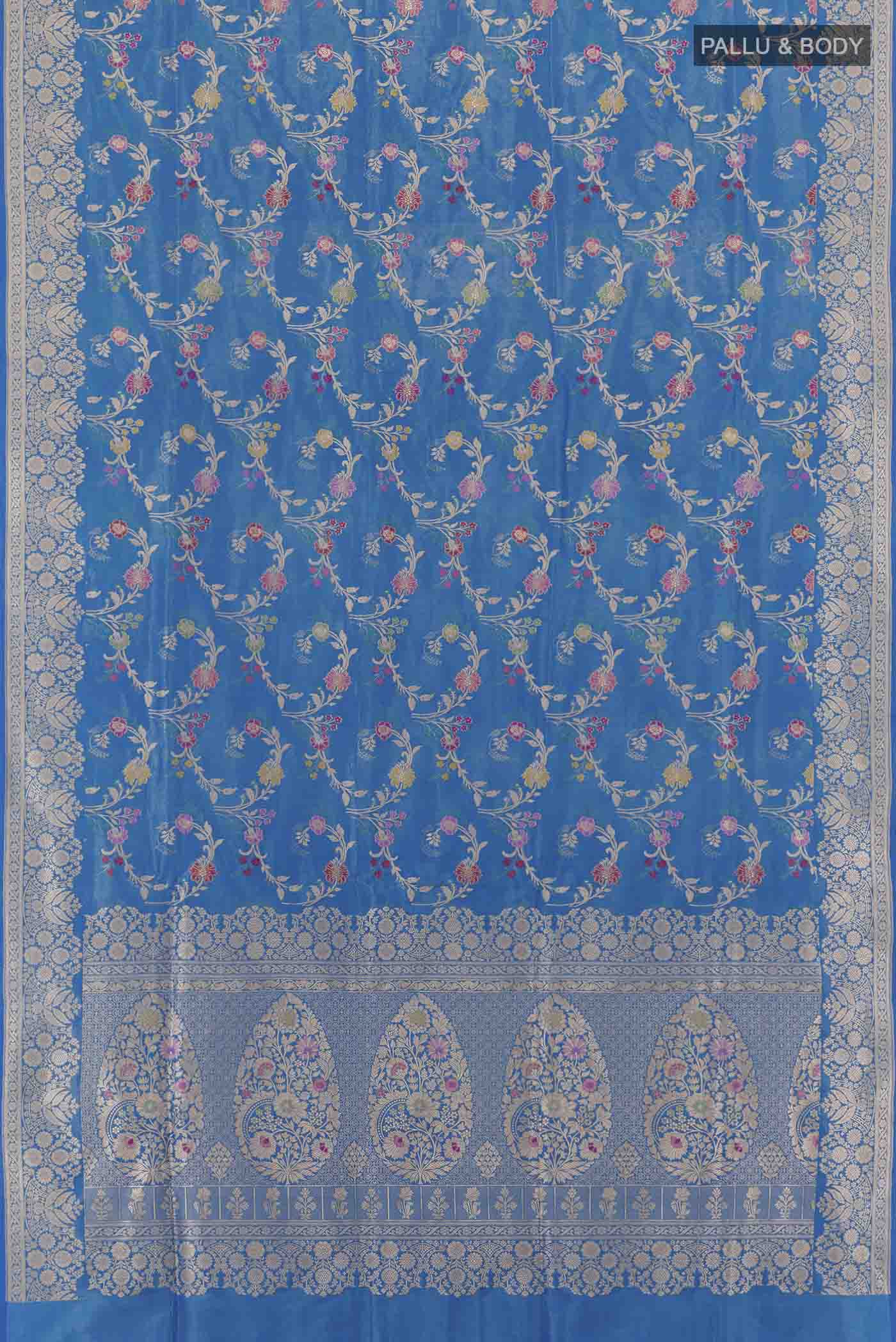 pallu body
