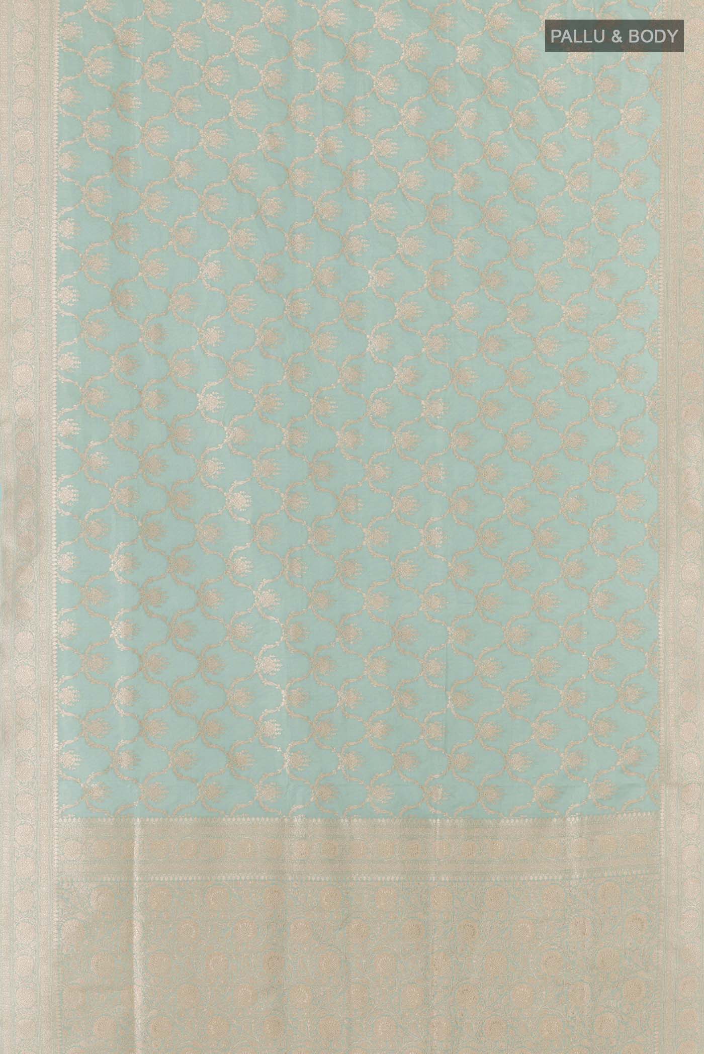 pallu body