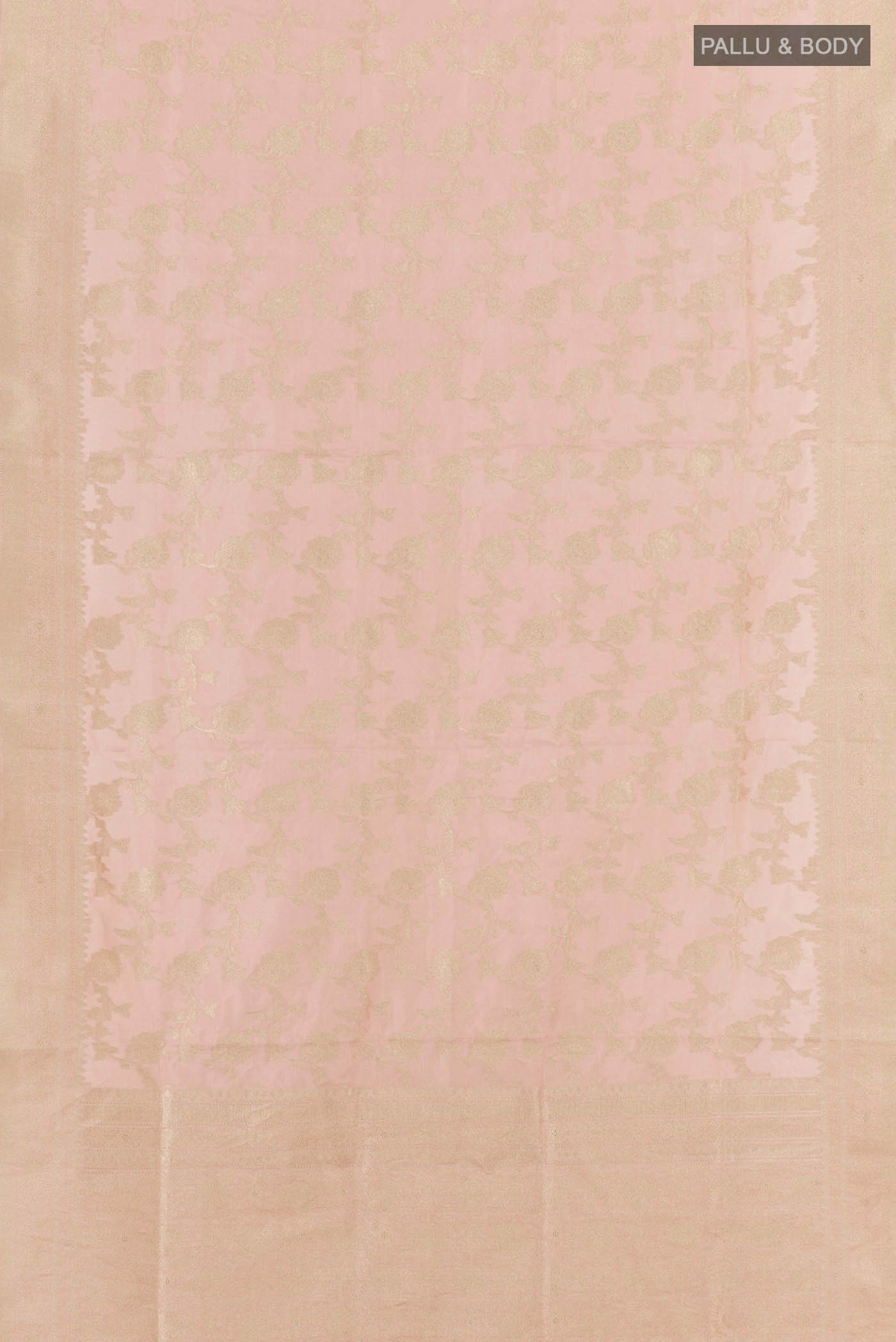 pallu body
