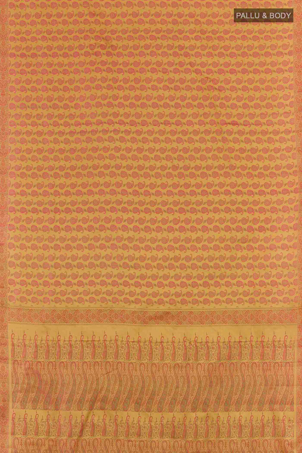 pallu body