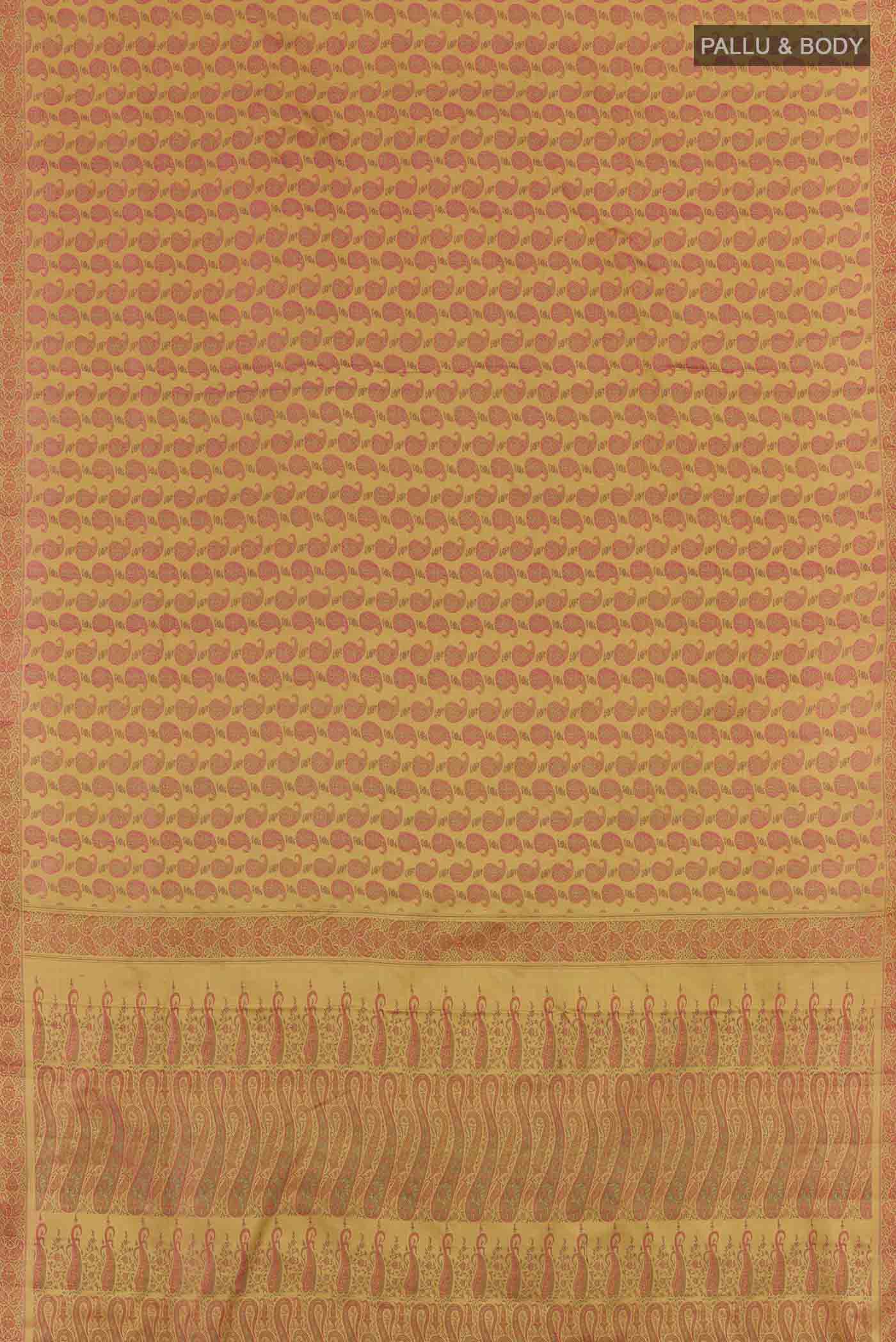 pallu body