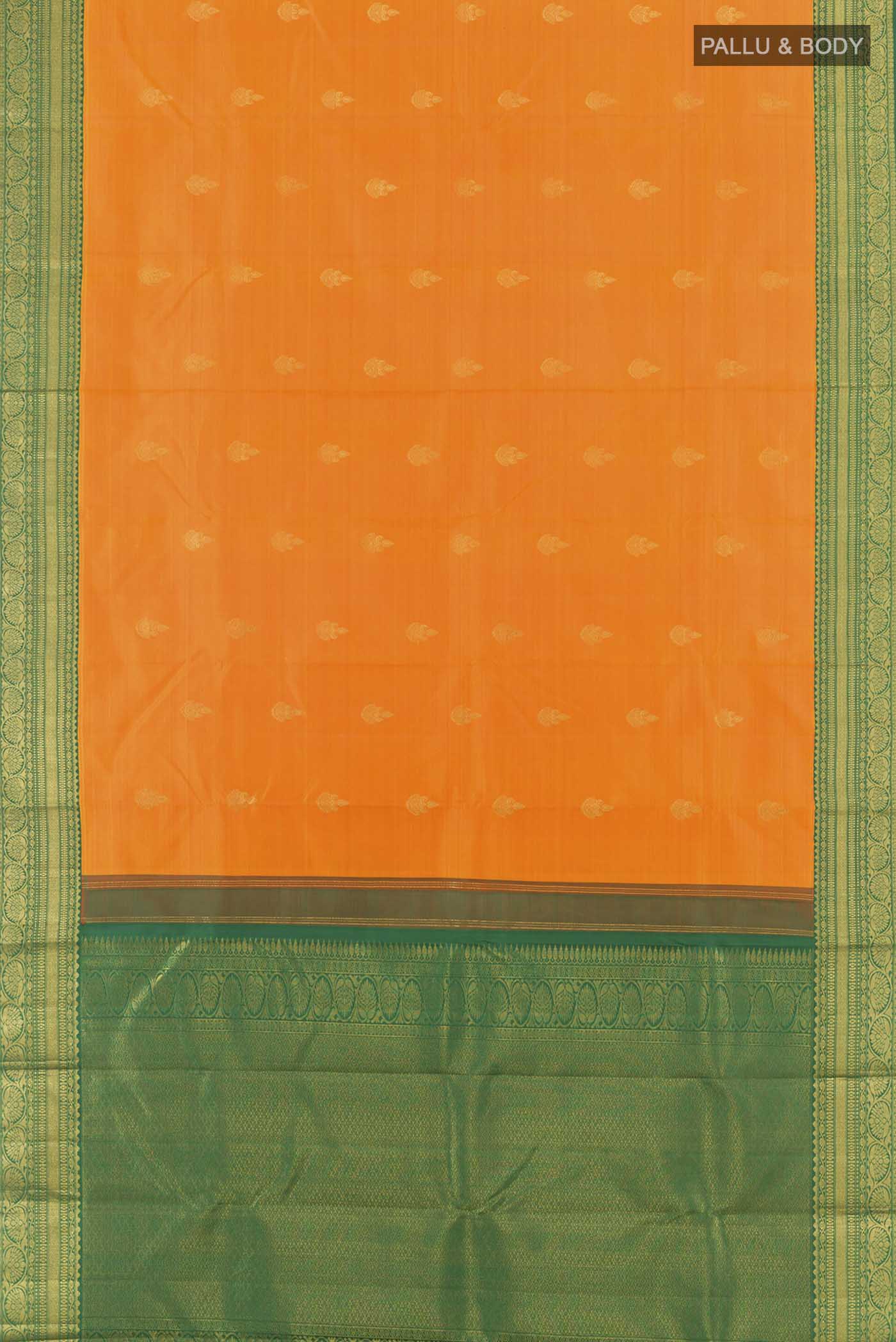pallu body