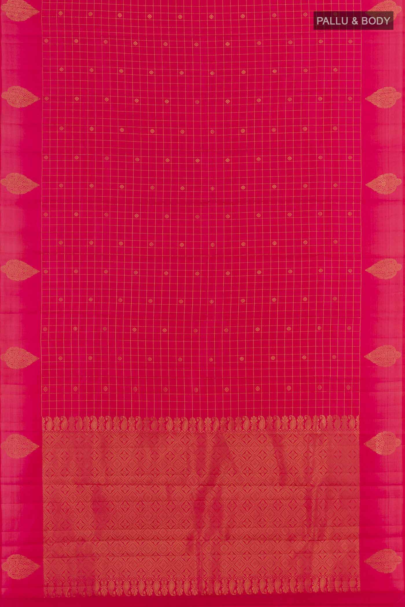 pallu body