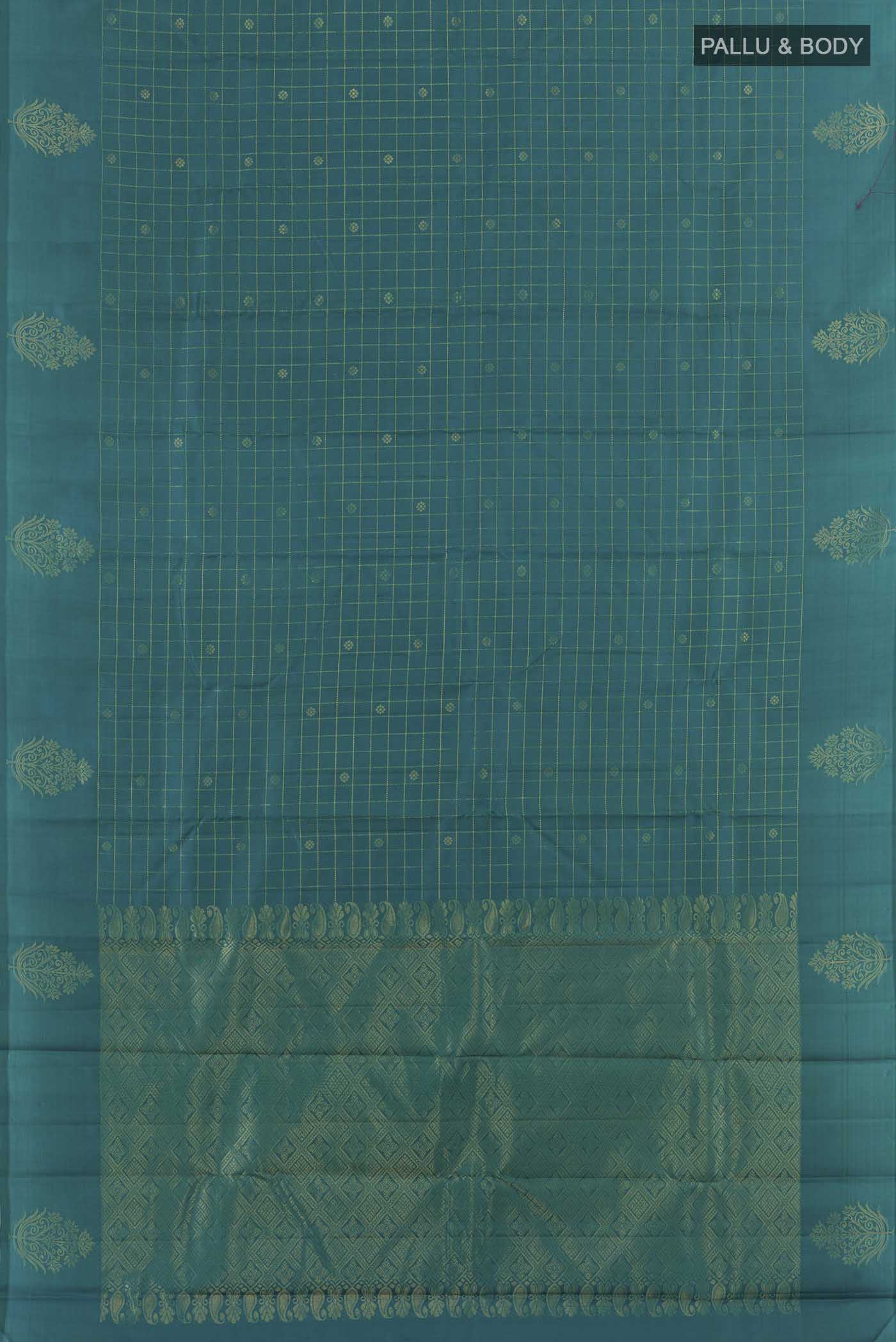 pallu body