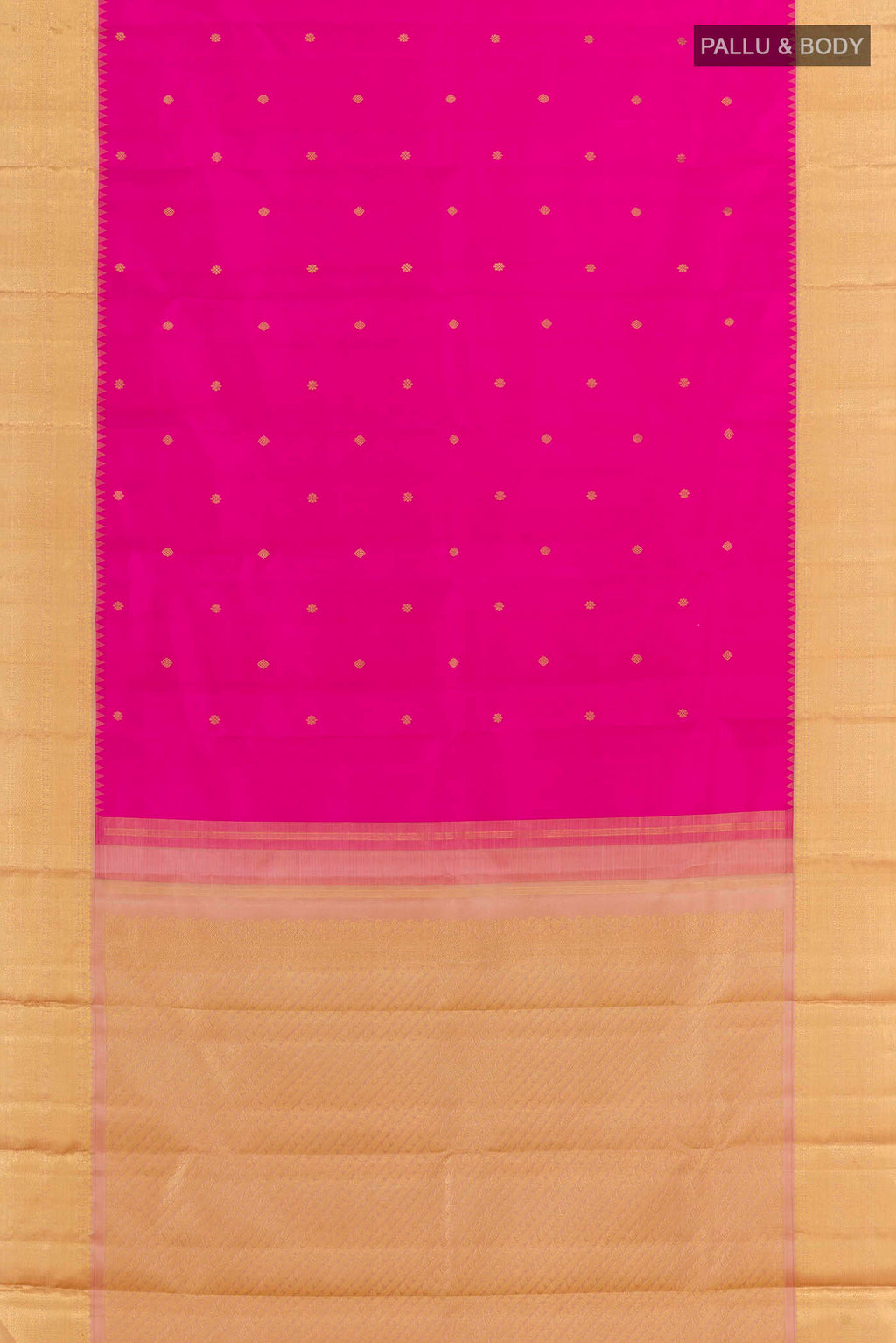 pallu body