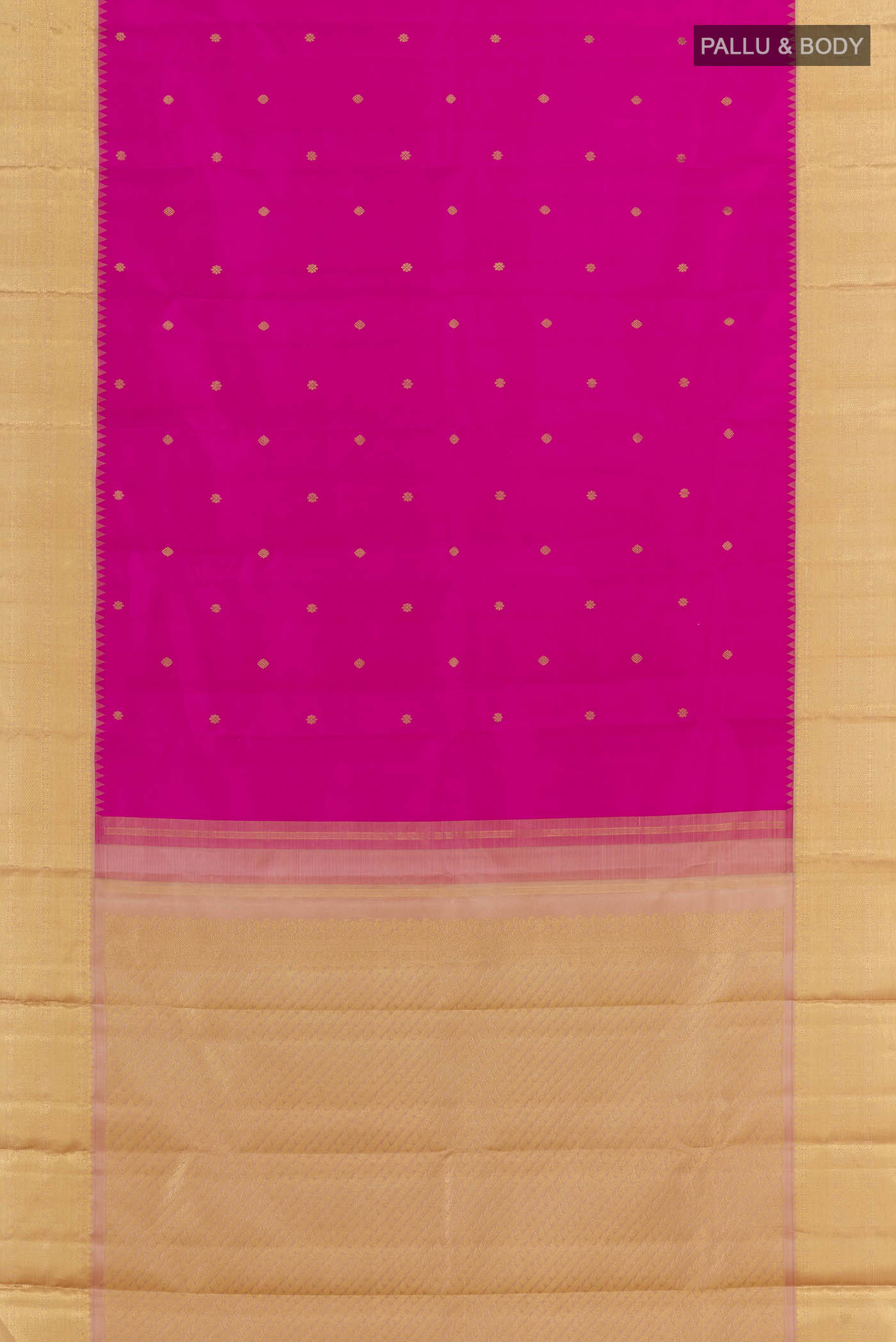 pallu body