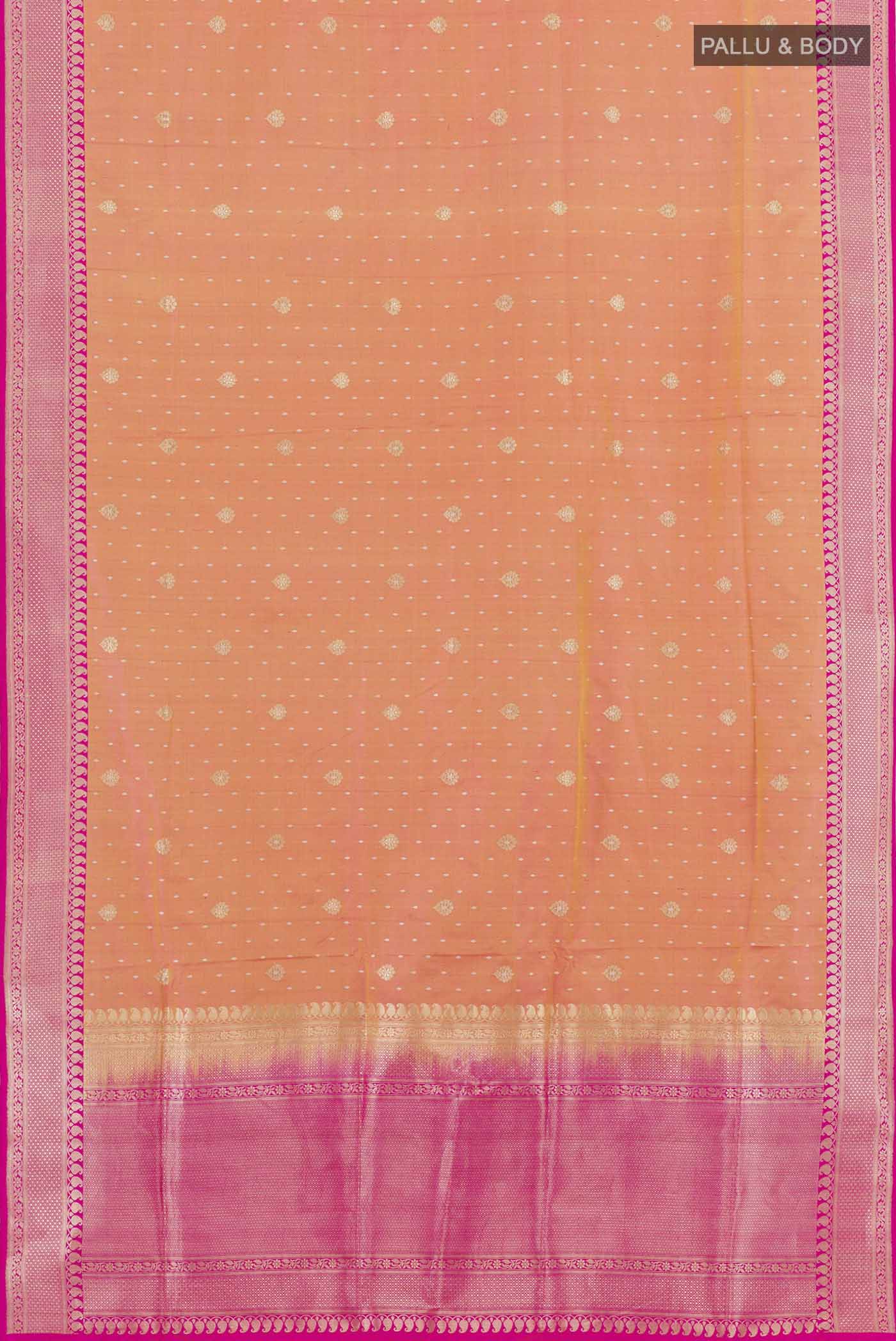 pallu body