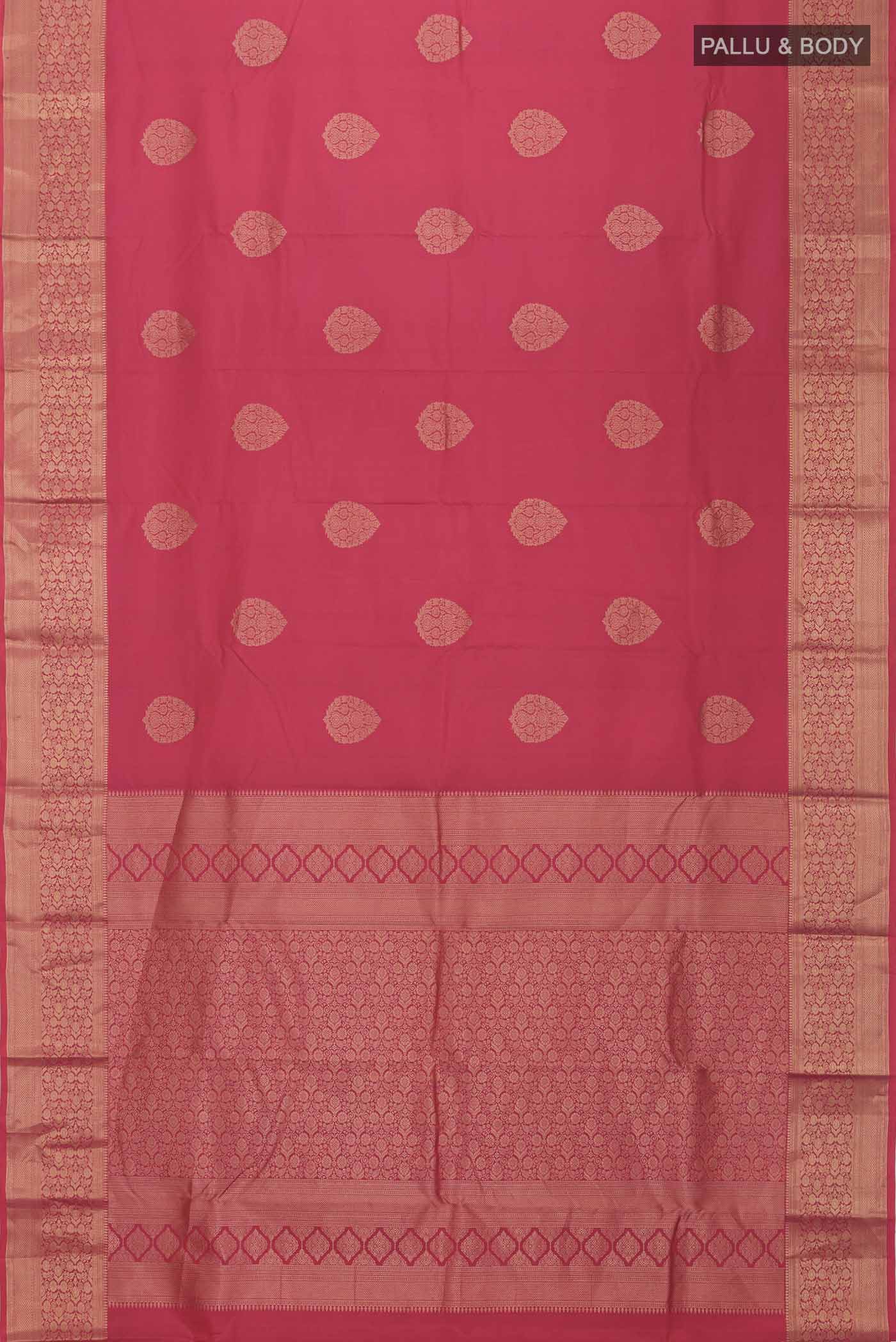 pallu body
