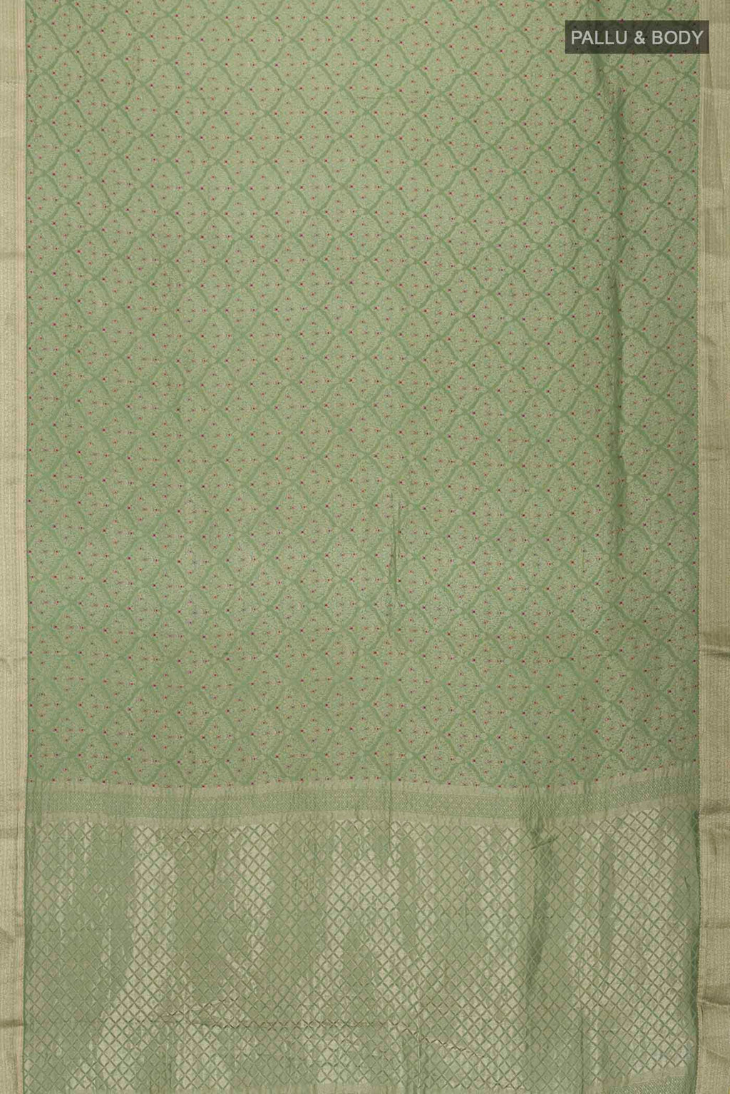 pallu body