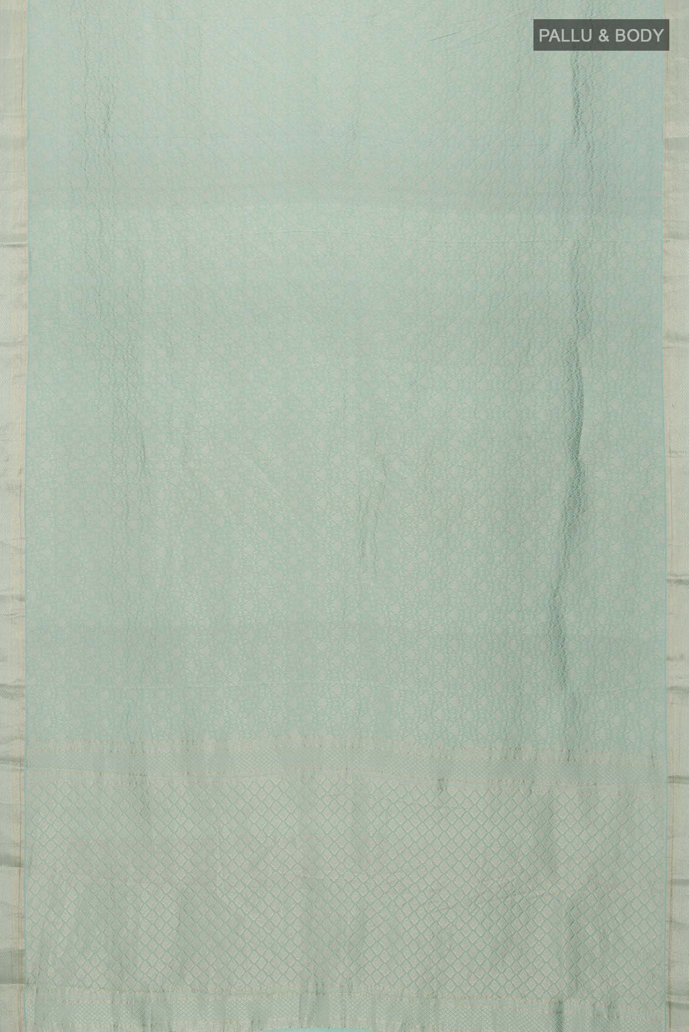 pallu body