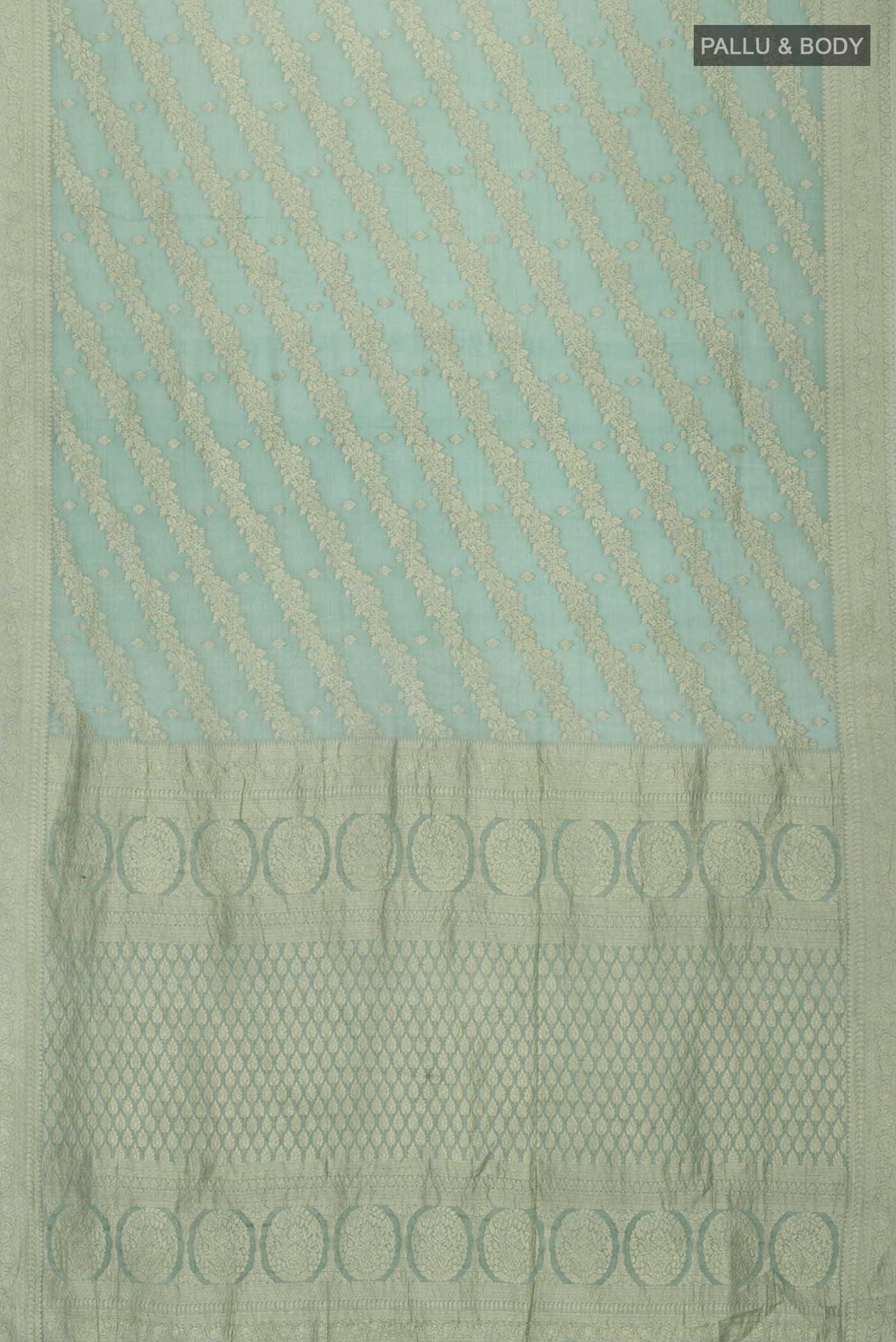 pallu body