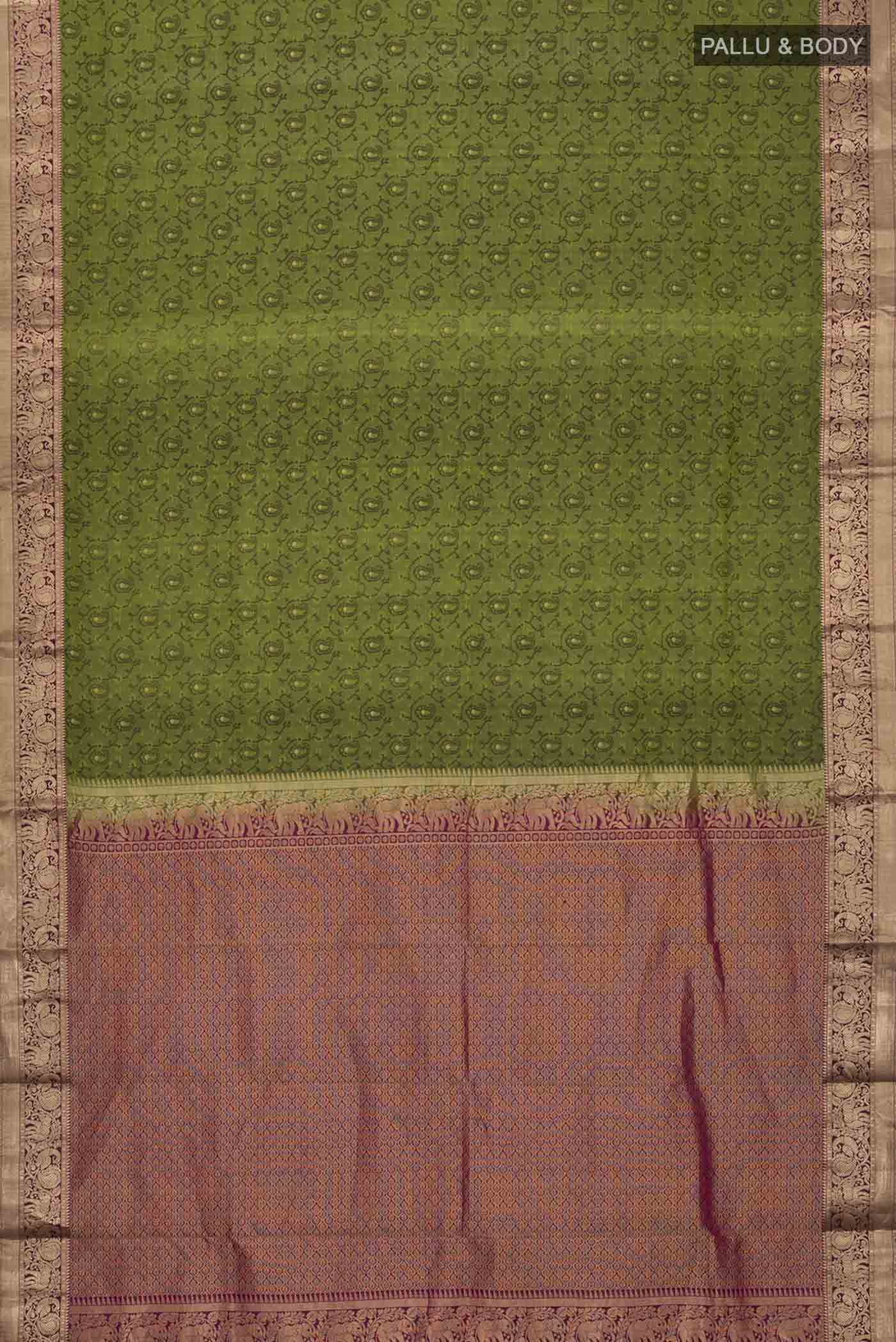 pallu body