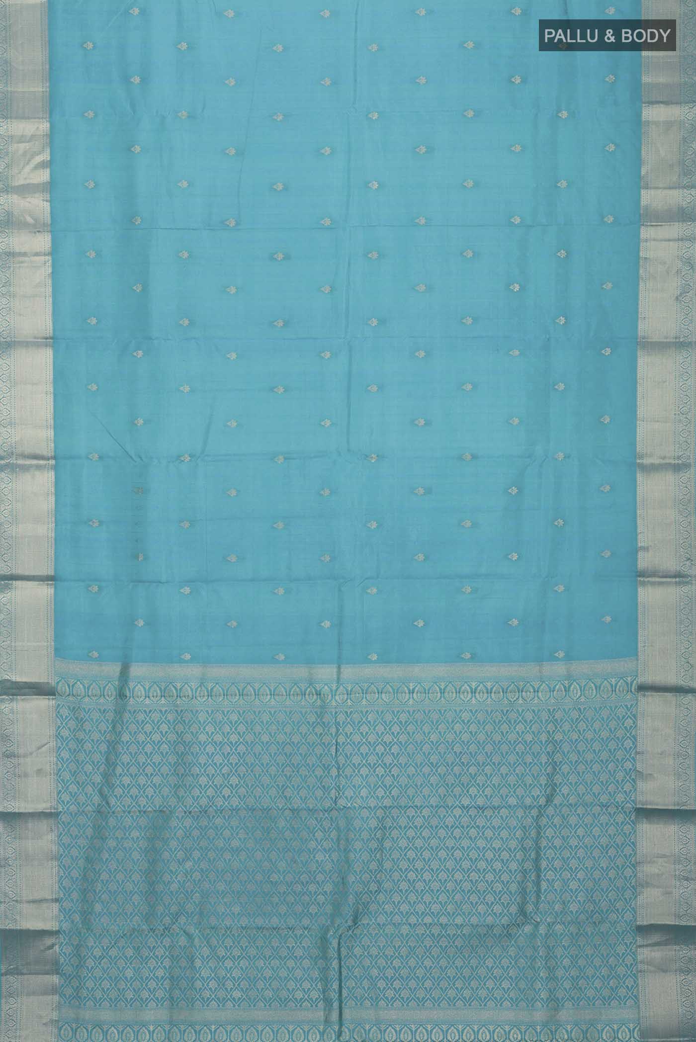 pallu body
