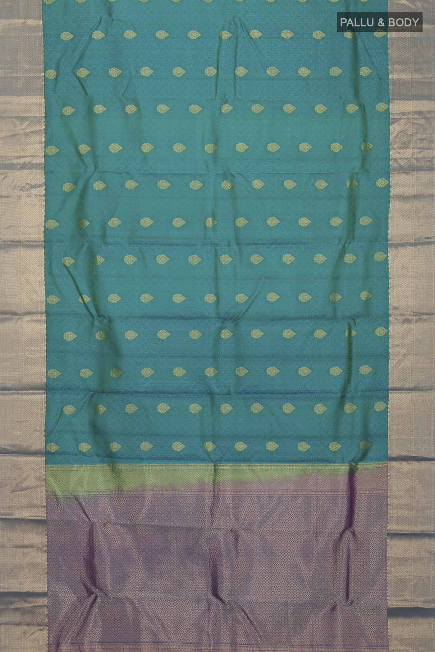 pallu body