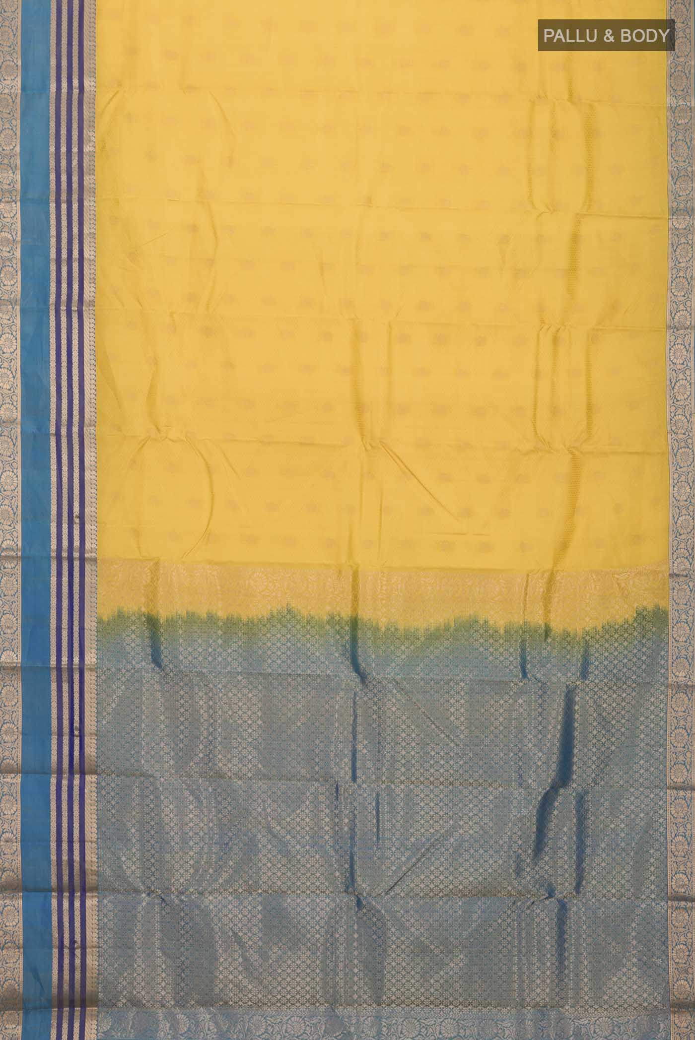 pallu body
