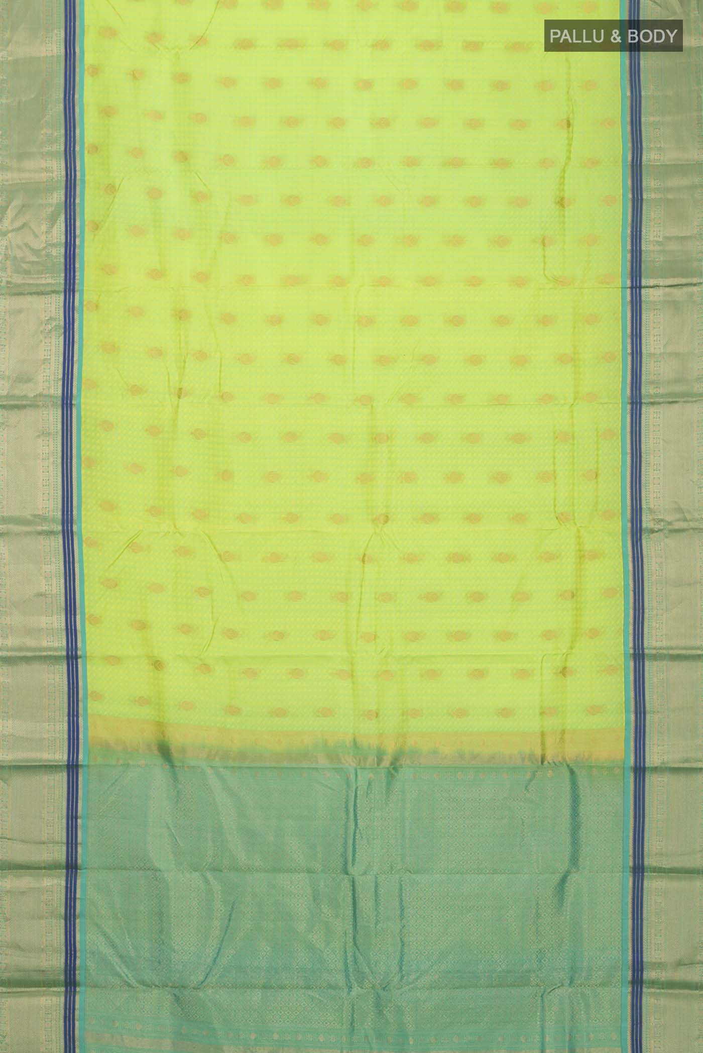 pallu body