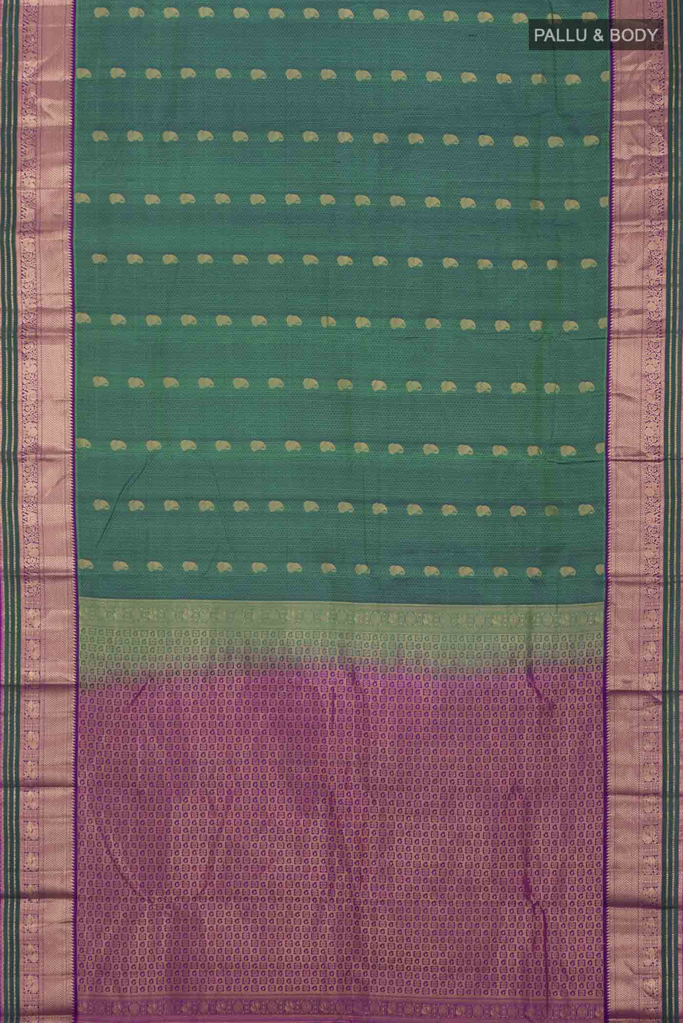 pallu body