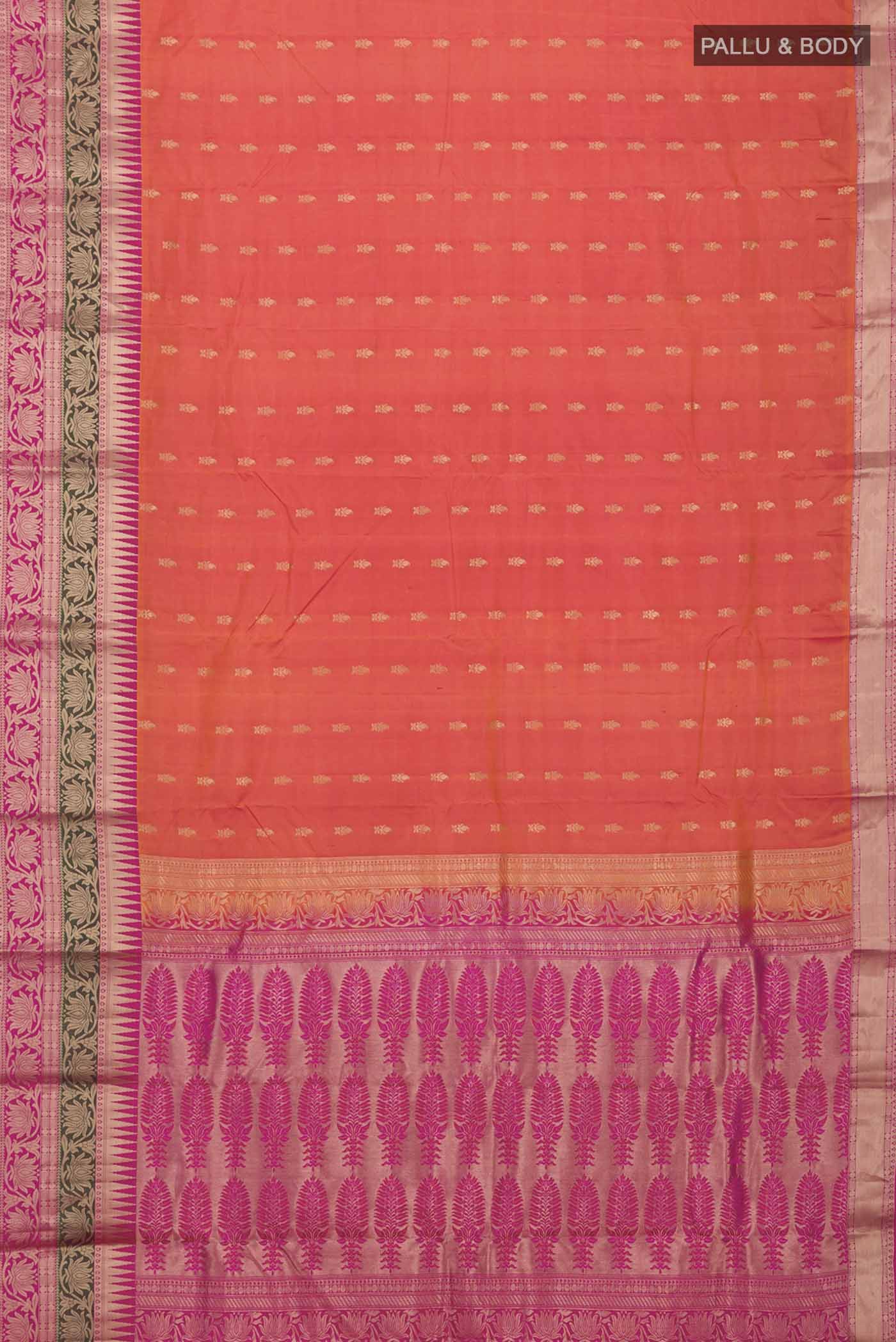 pallu body