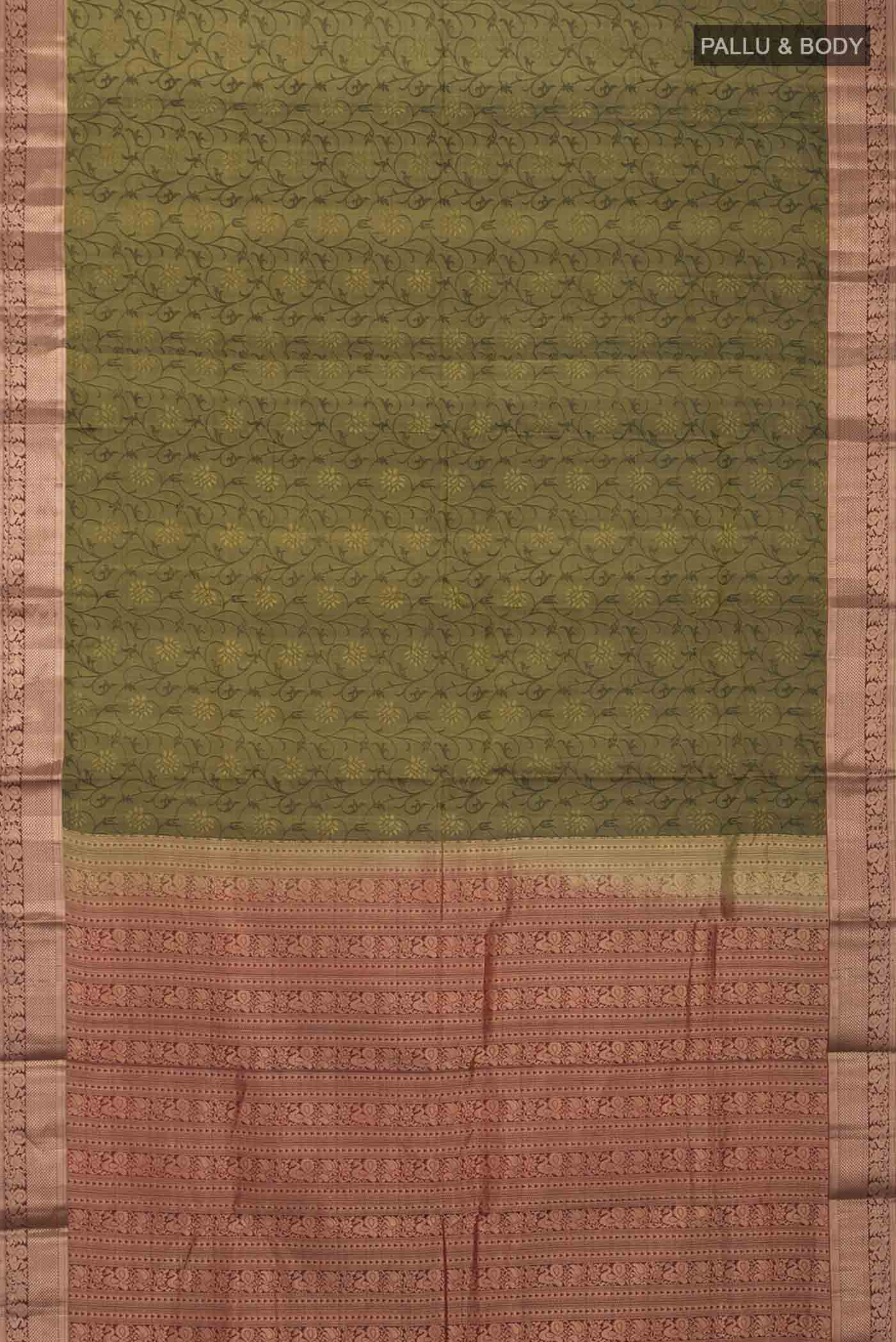 pallu body