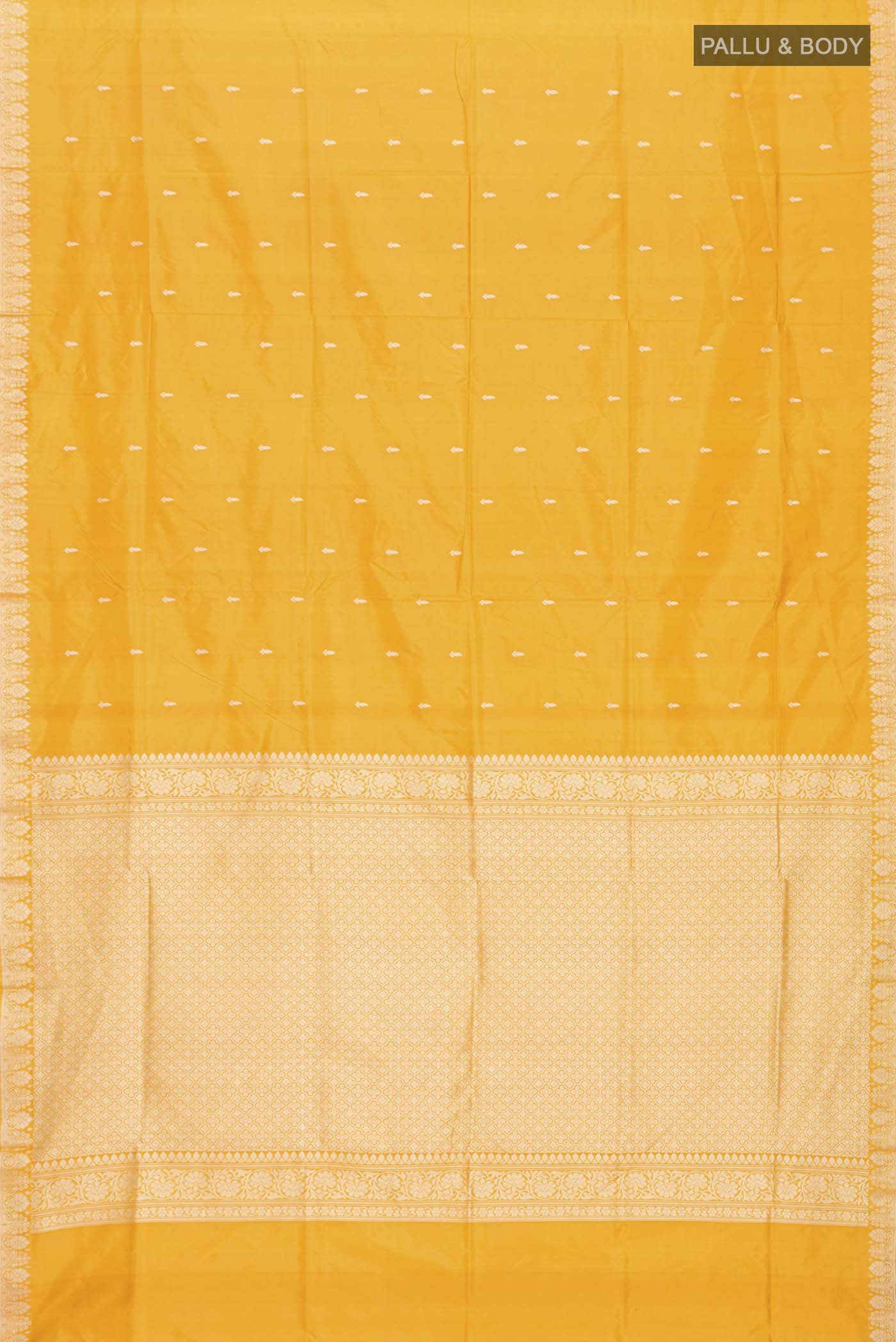 pallu body
