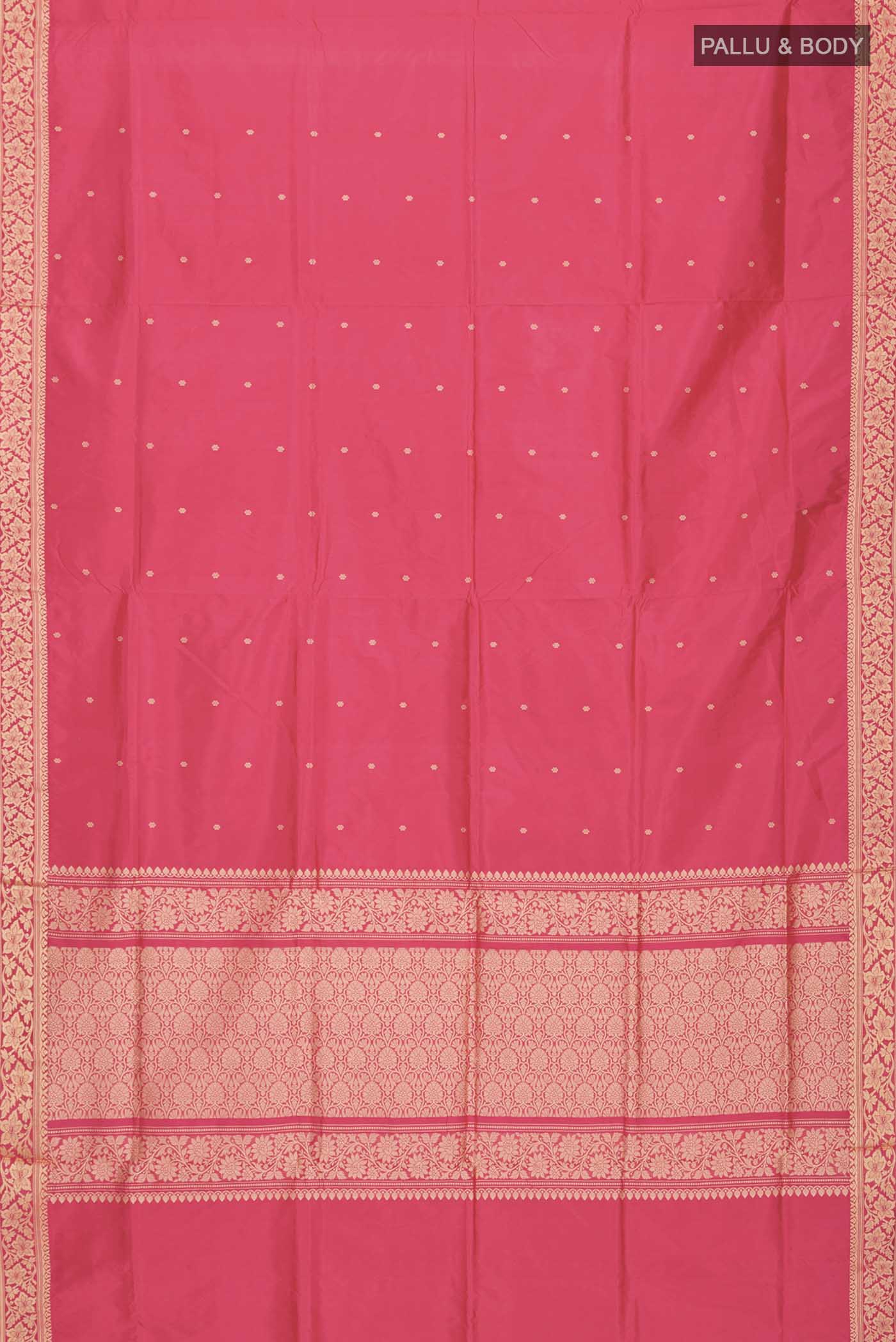 pallu body