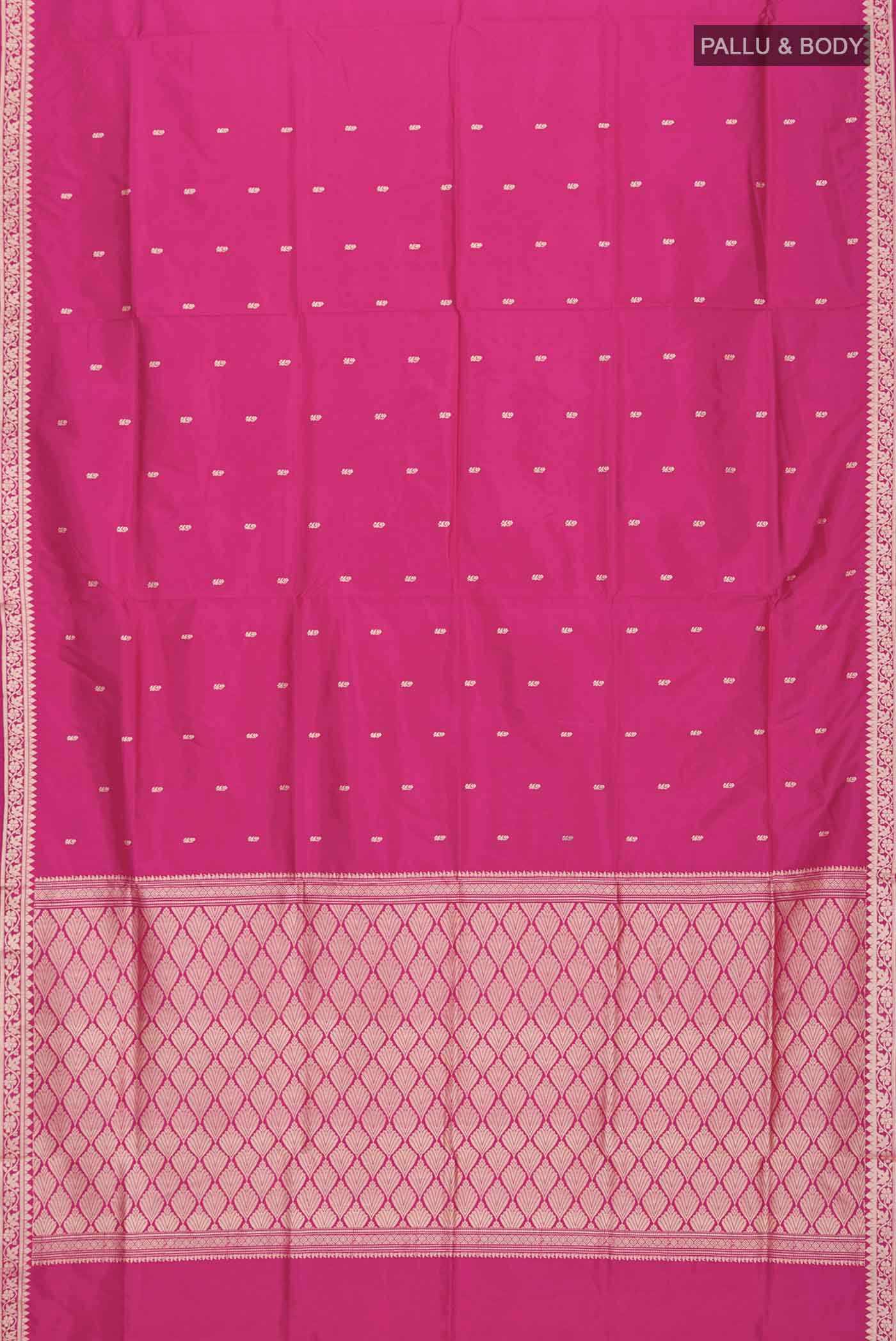 pallu body