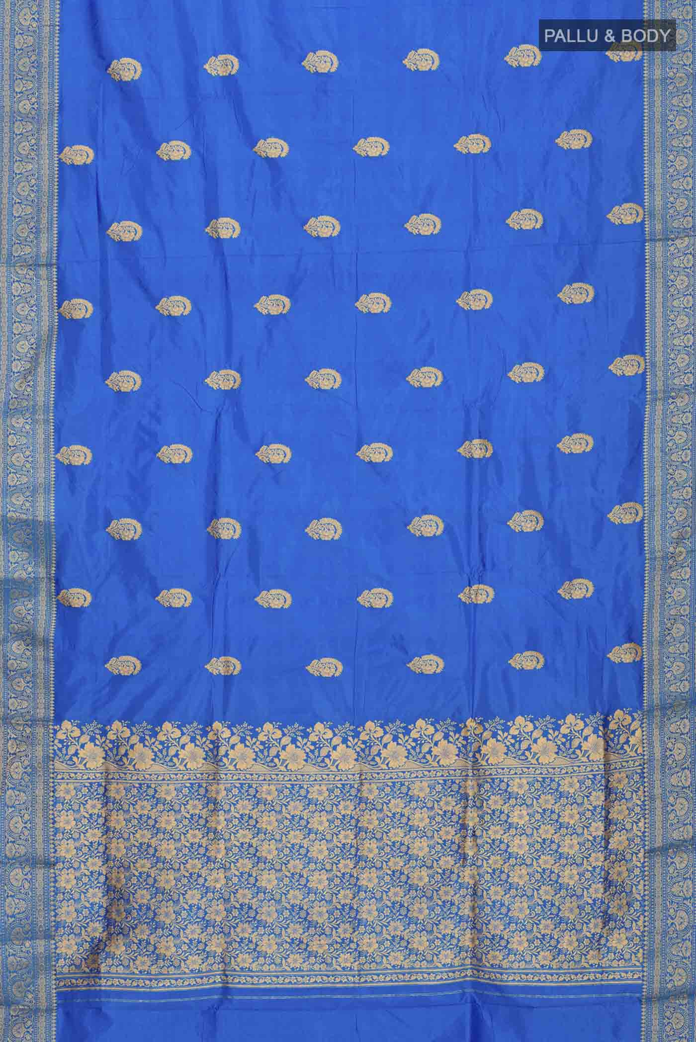 pallu body