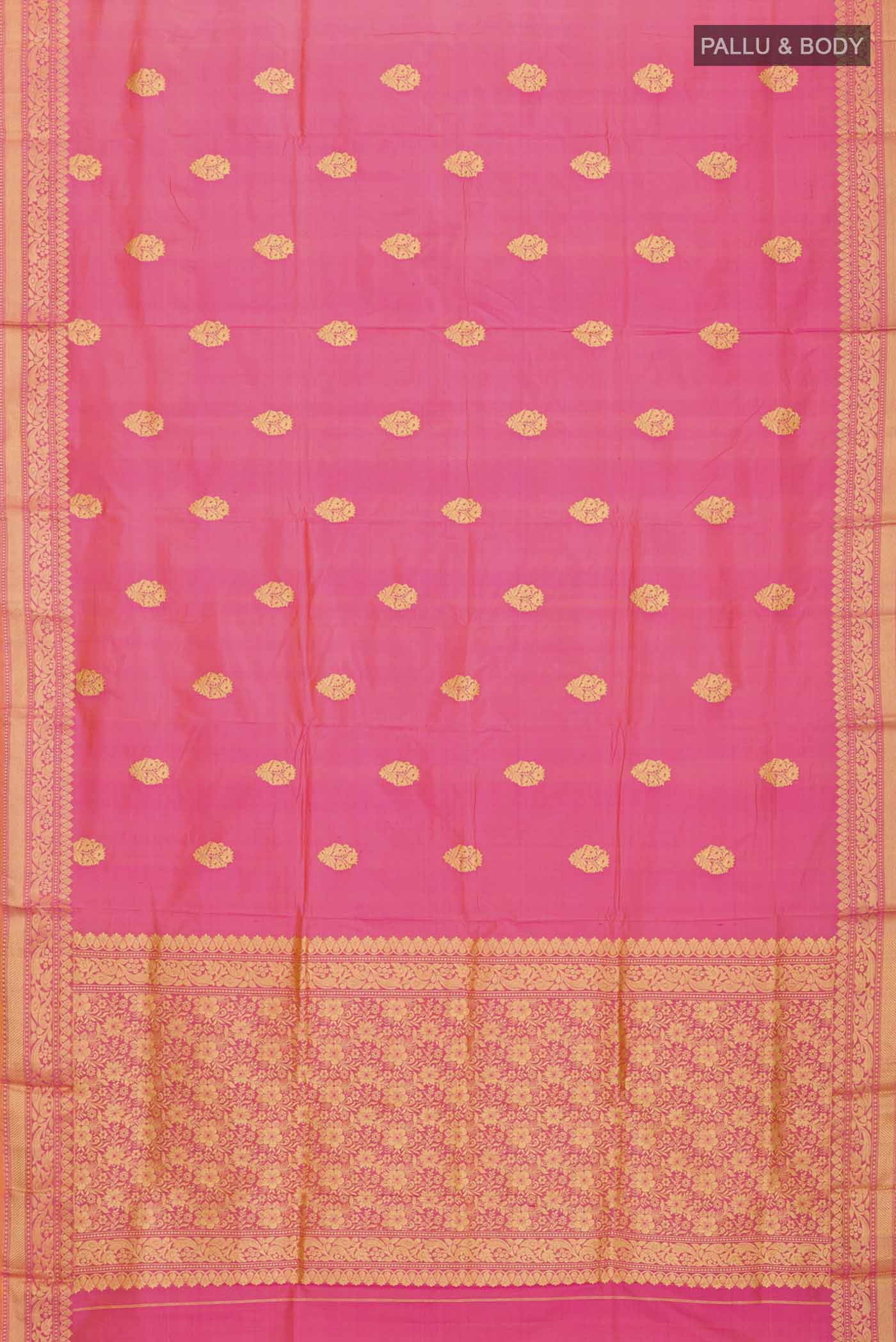 pallu body
