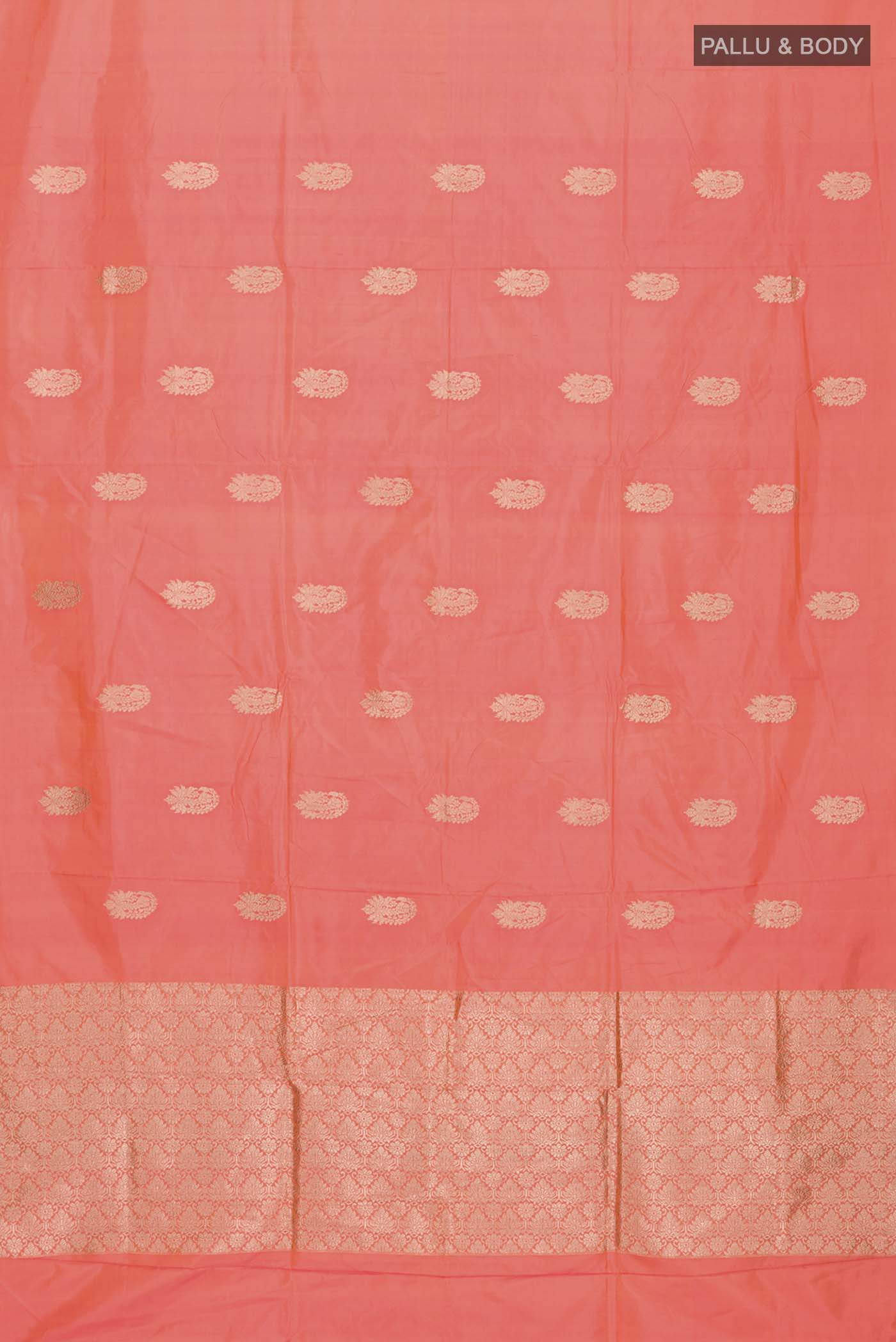 pallu body