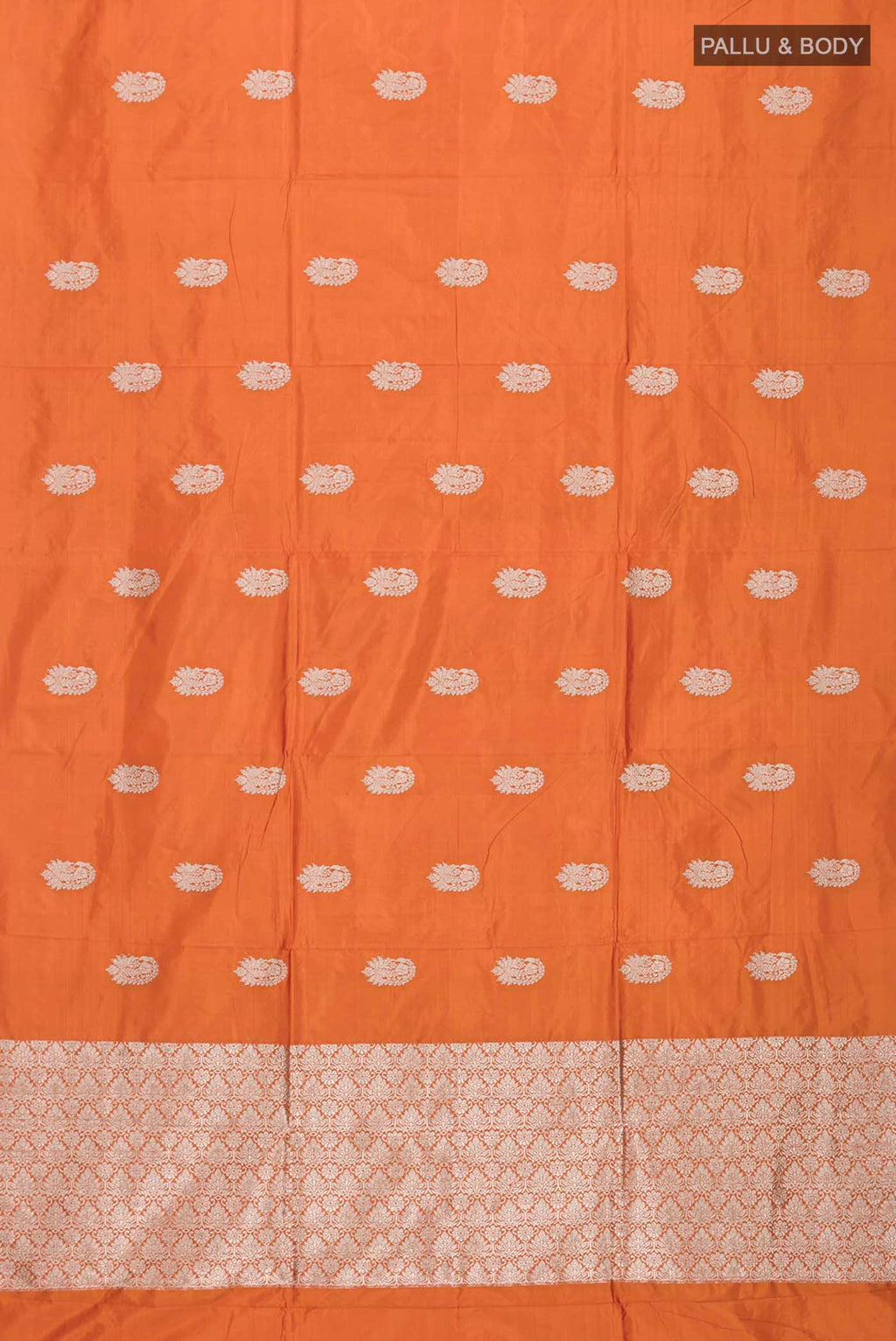 pallu body