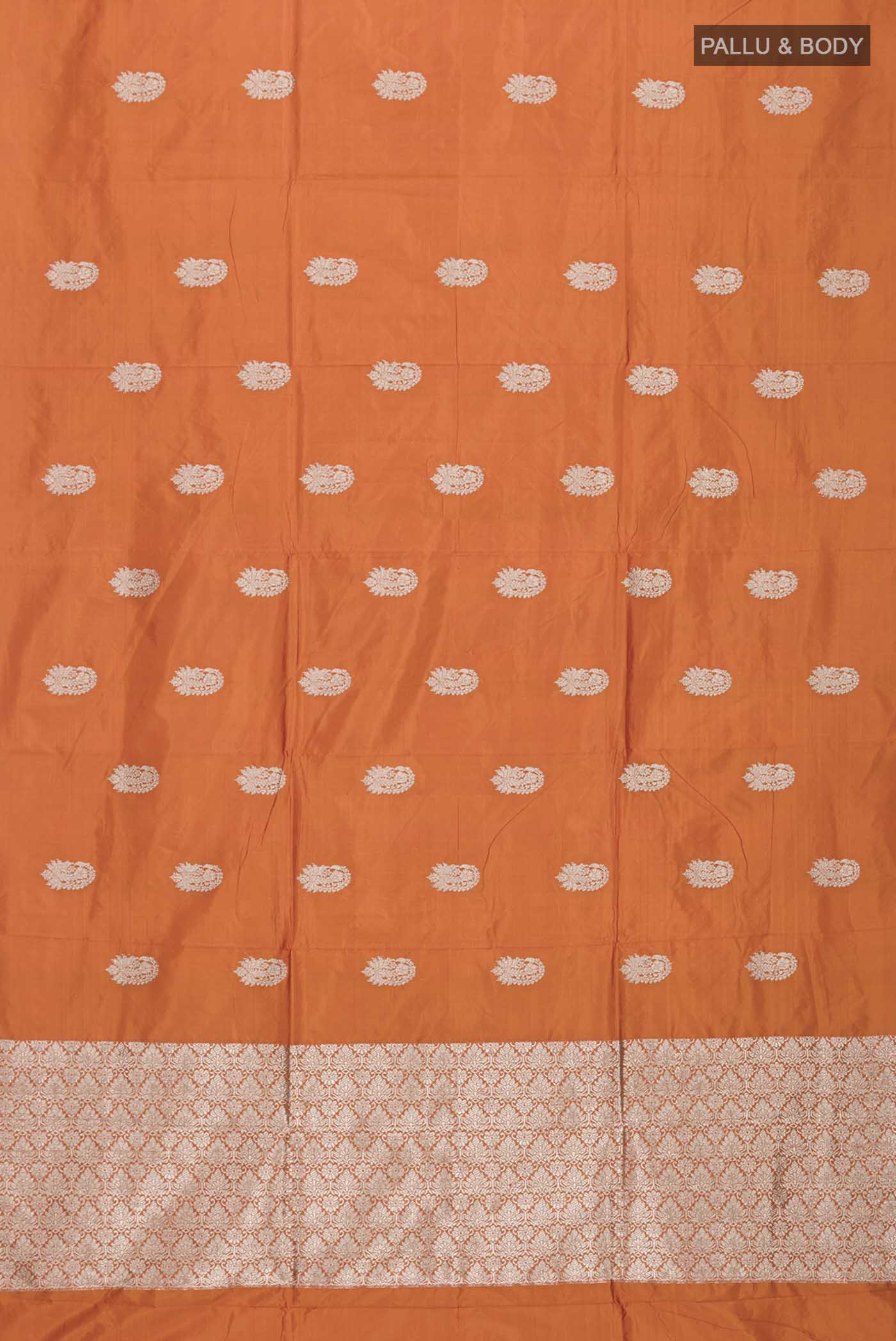 pallu body