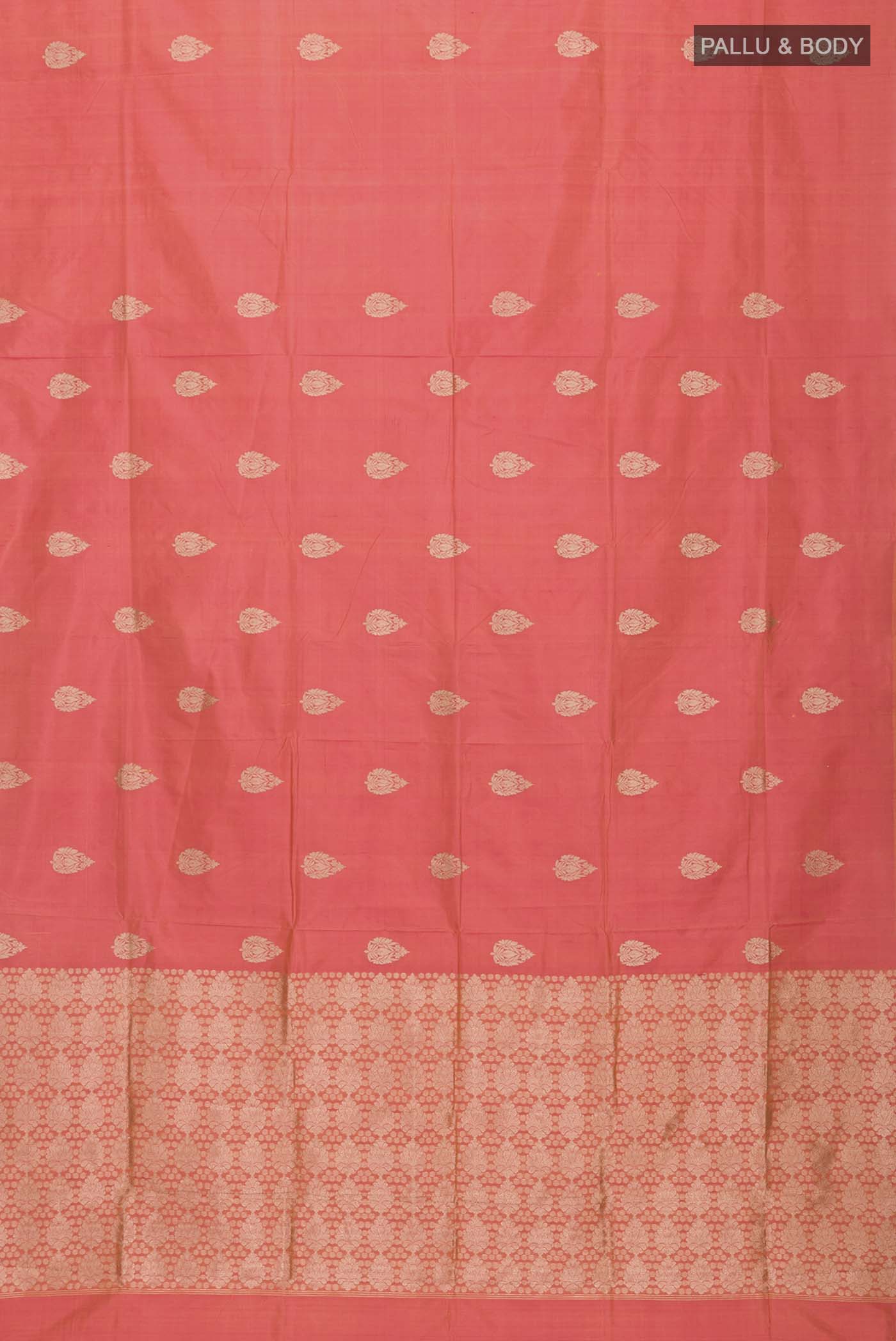 pallu body