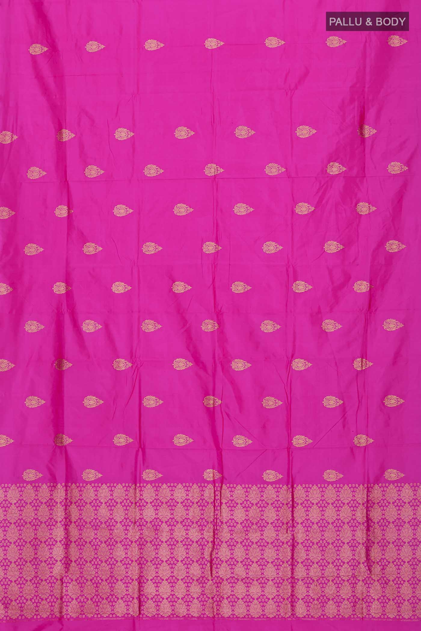 pallu body