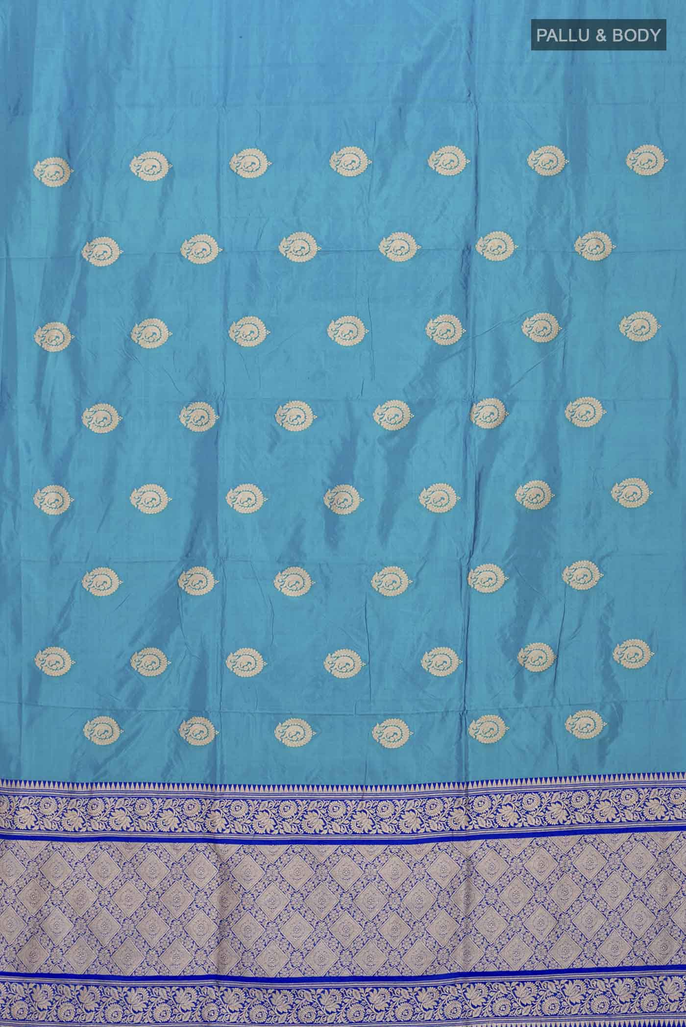 pallu body