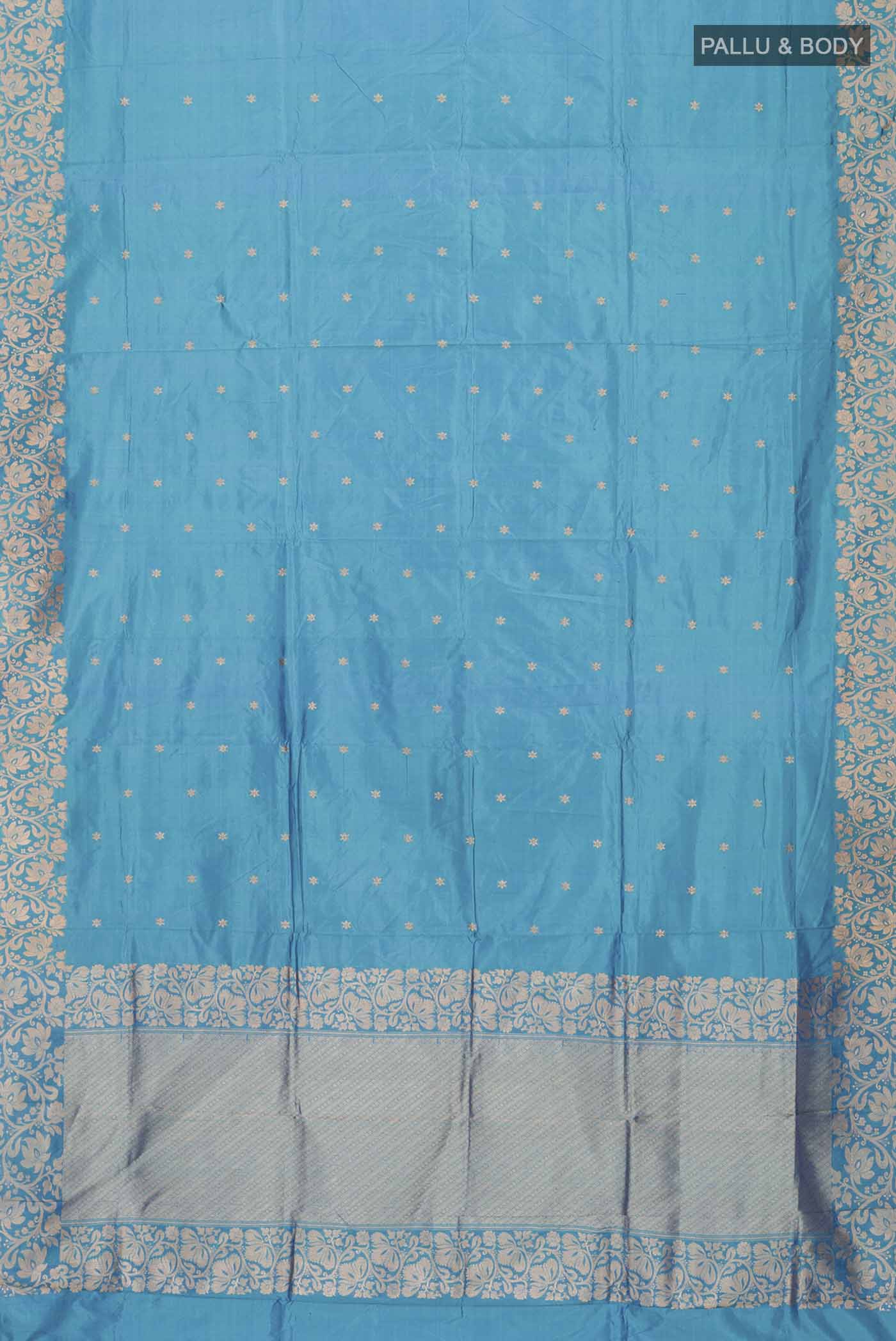 pallu body