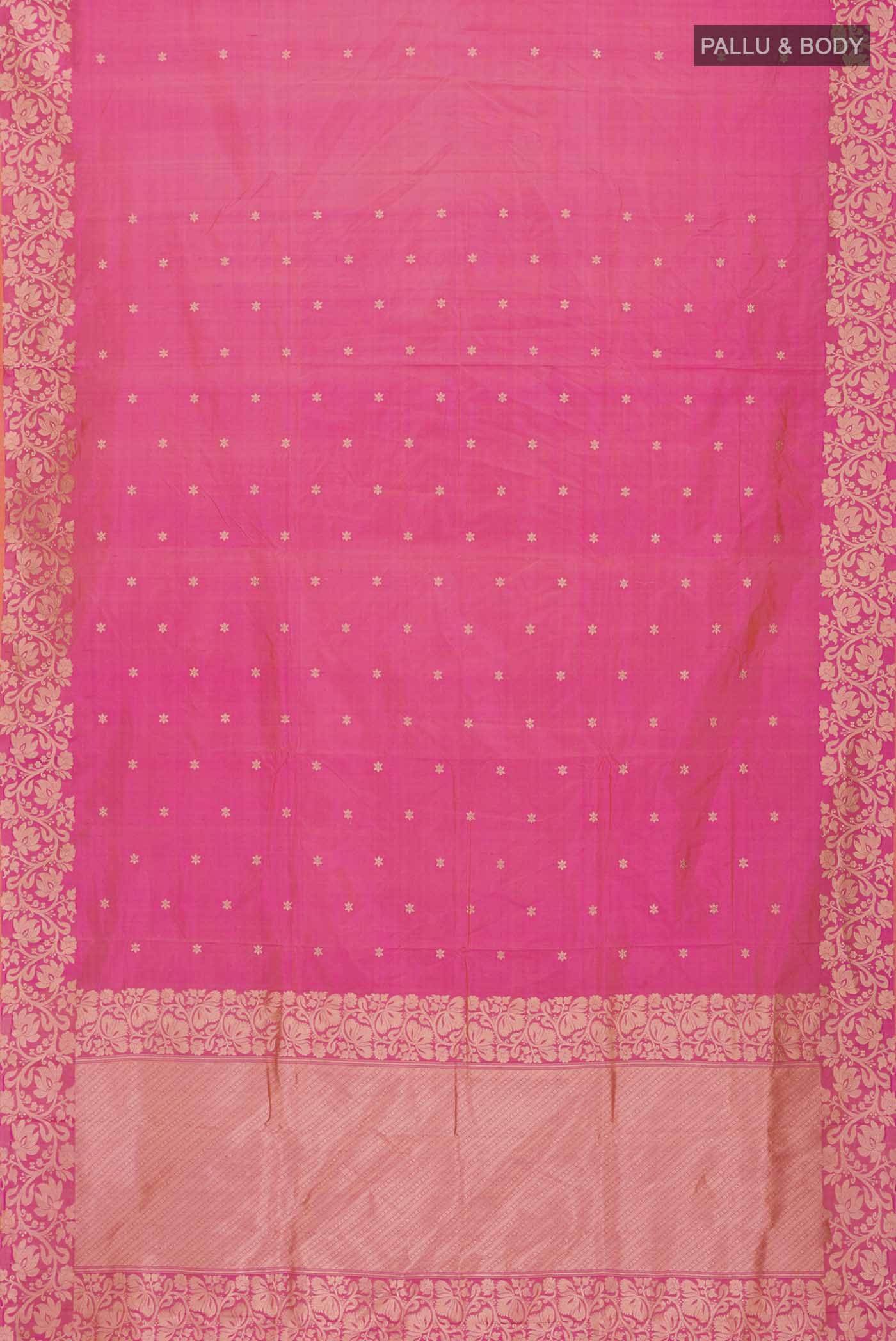 pallu body
