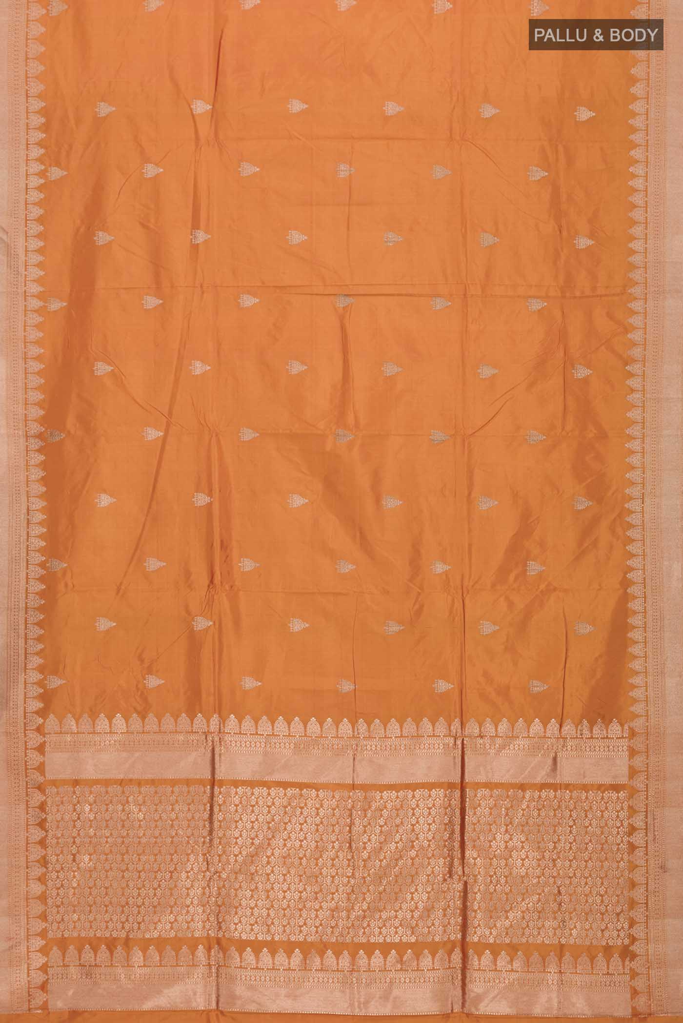 pallu body