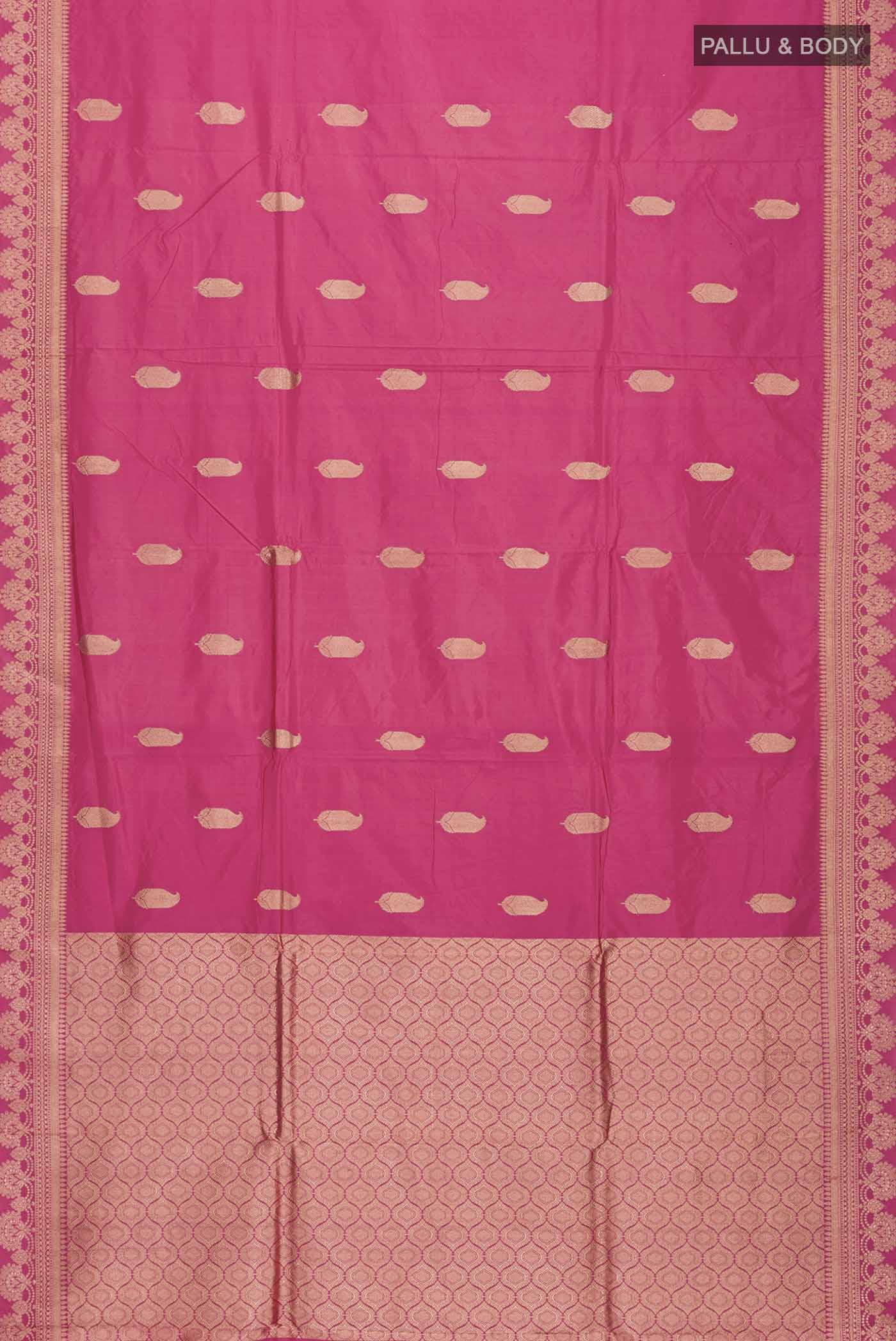 pallu body