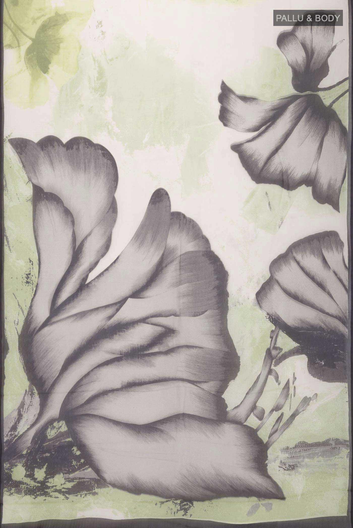pallu body