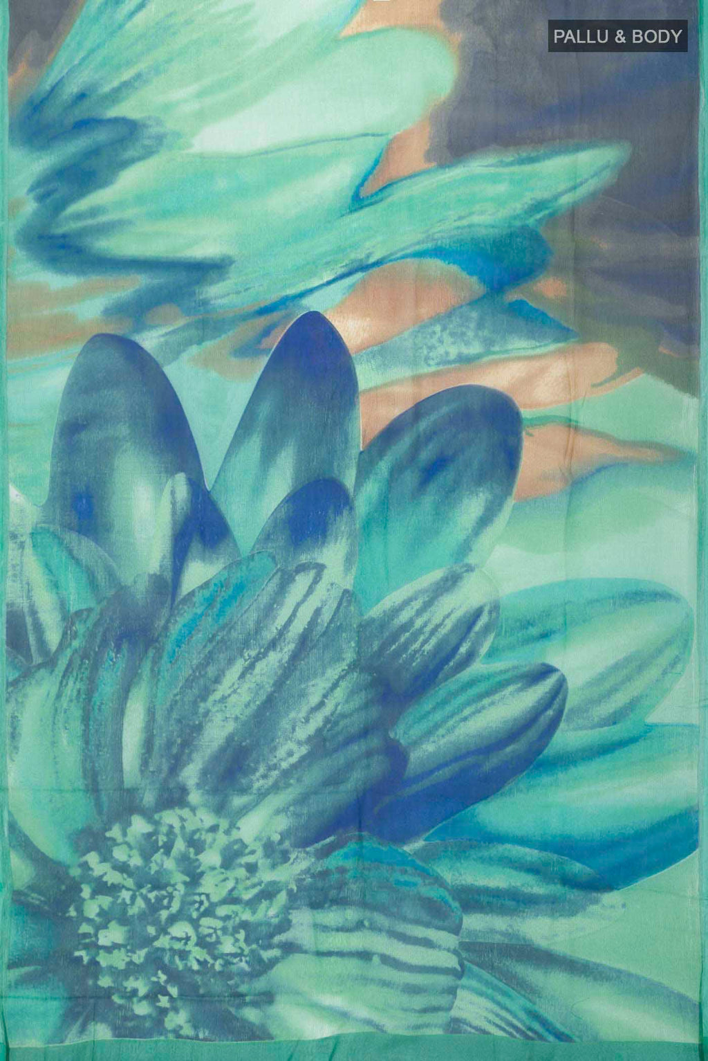 pallu body