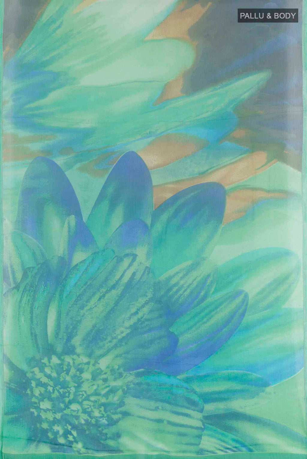 pallu body